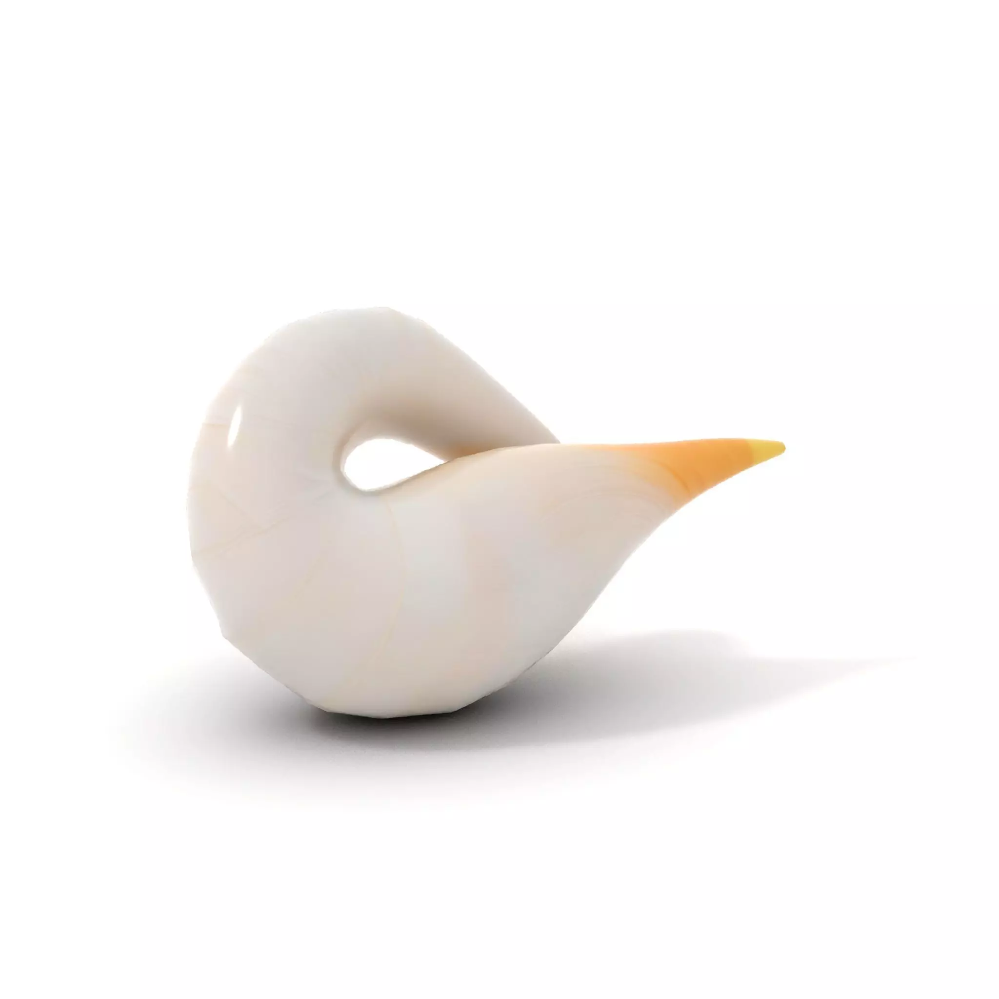 Elegant Spiral Seashell model pack Low-poly 3D model_10