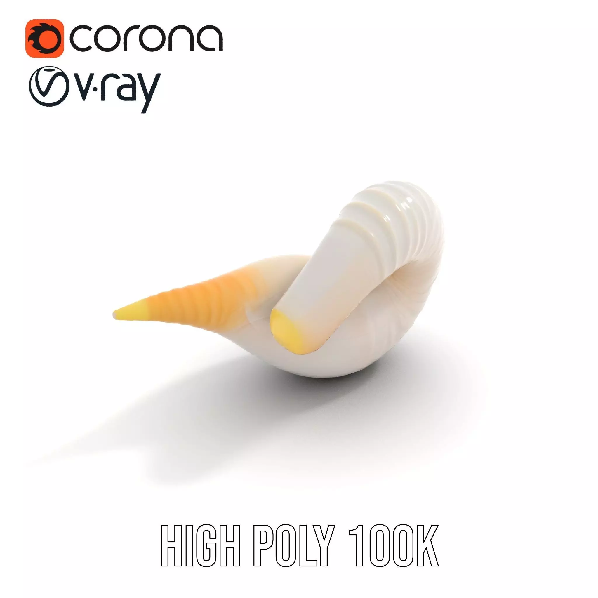 Elegant Spiral Seashell model pack Low-poly 3D model_16