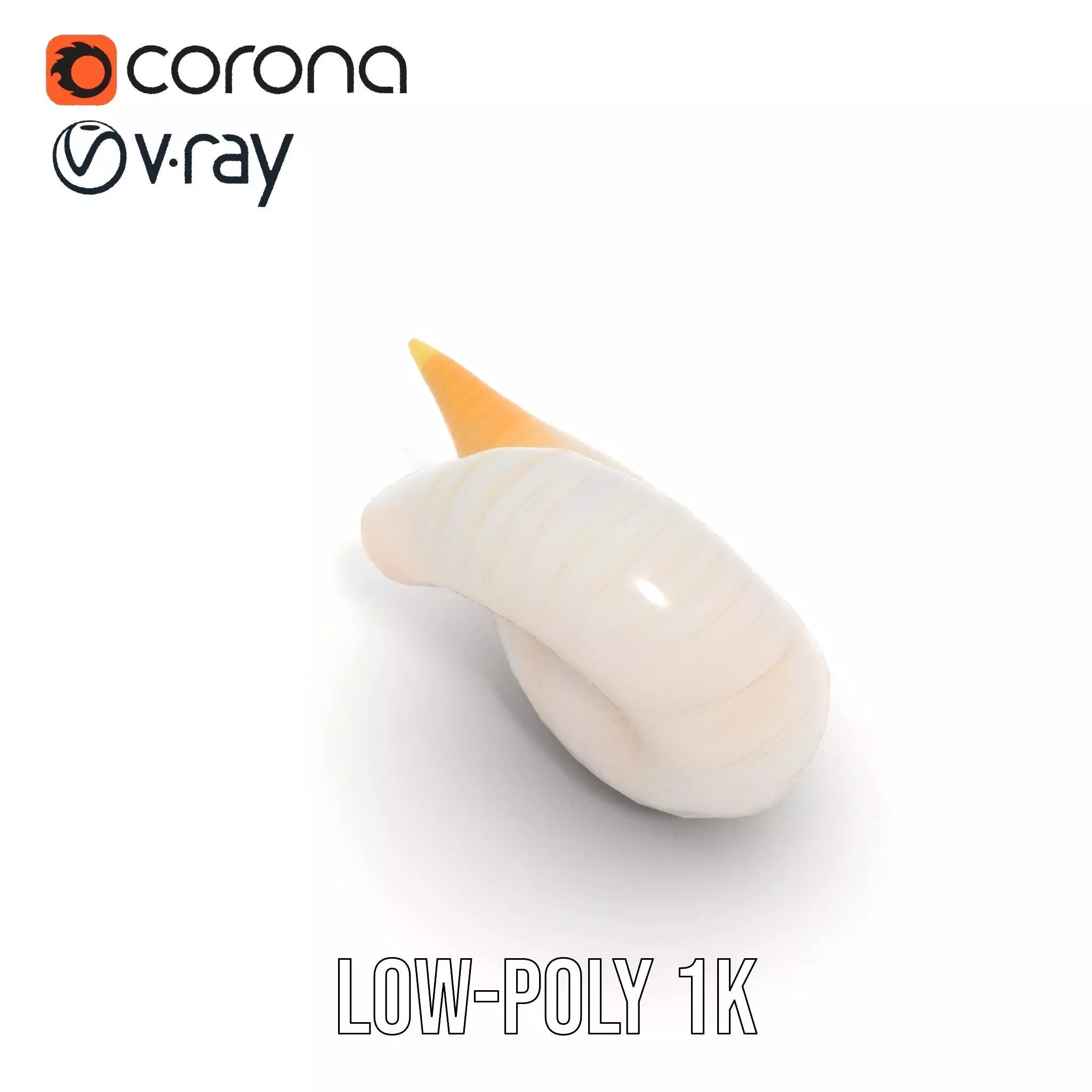 Elegant Spiral Seashell model pack Low-poly 3D model_26