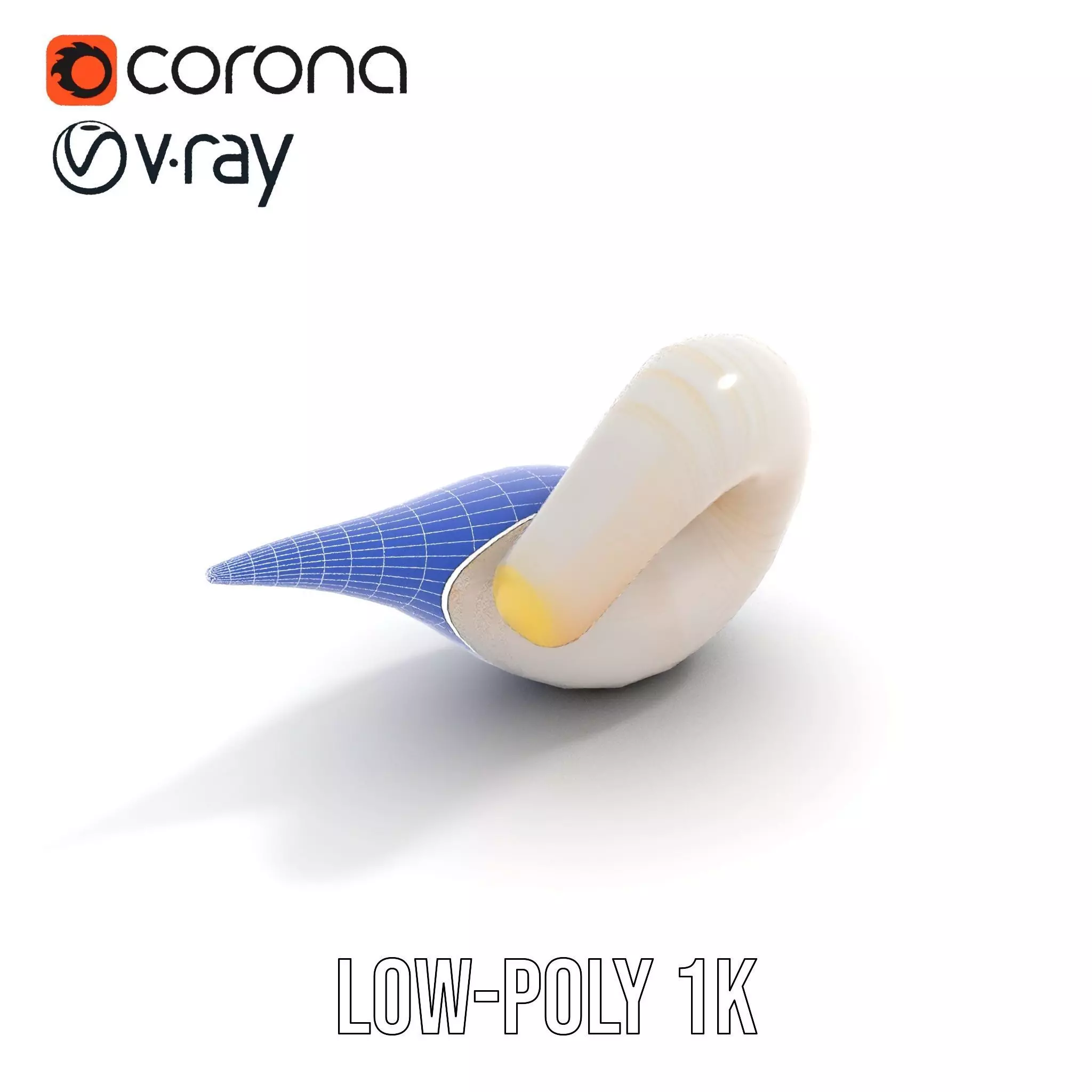 Elegant Spiral Seashell model pack Low-poly 3D model_18