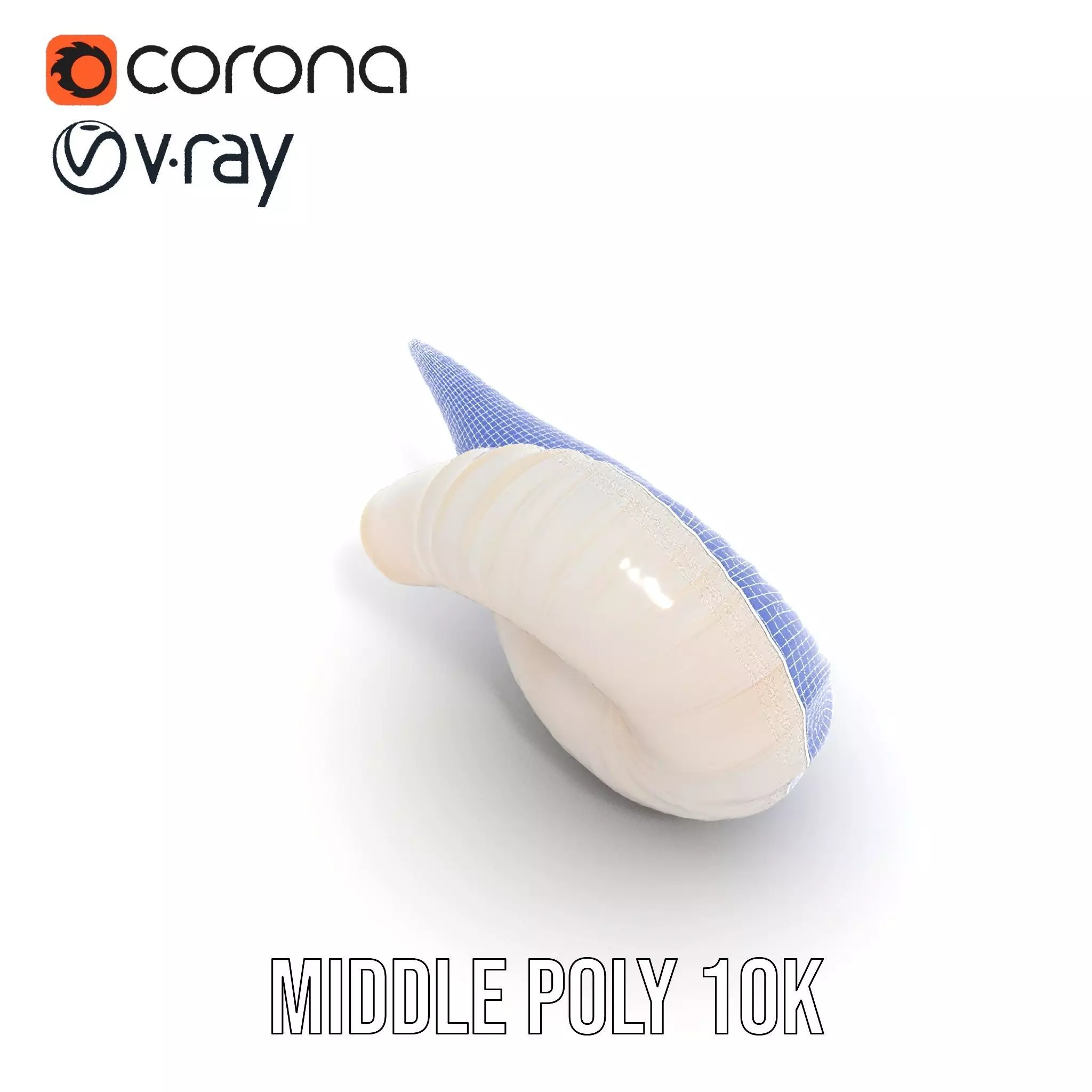 Elegant Spiral Seashell model pack Low-poly 3D model_20