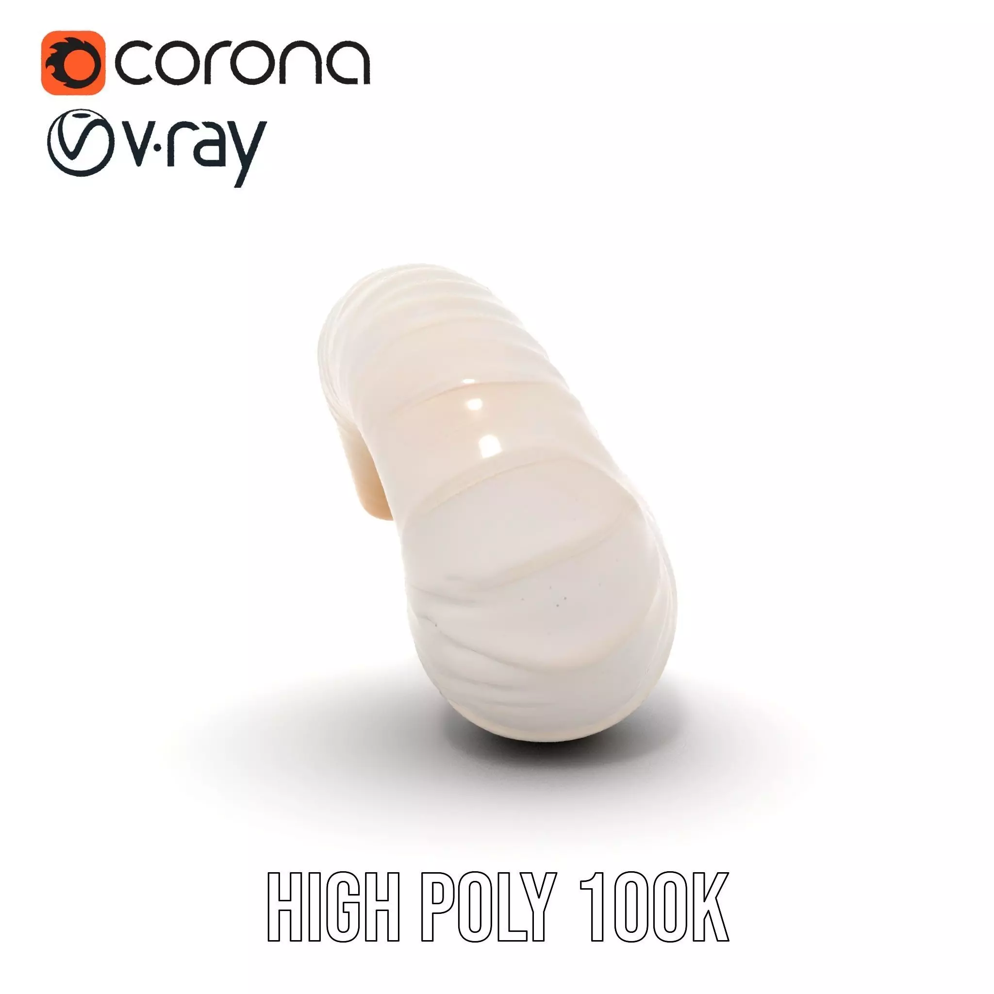 Elegant Spiral Seashell model pack Low-poly 3D model_30