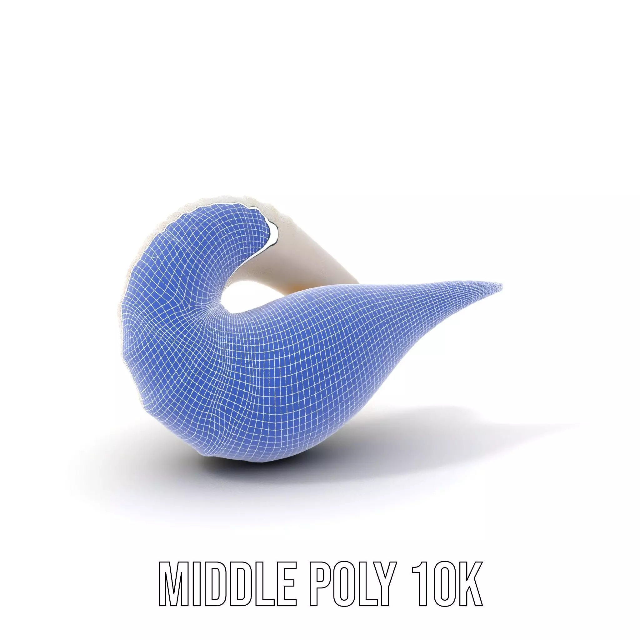 Elegant Spiral Seashell model pack Low-poly 3D model_6