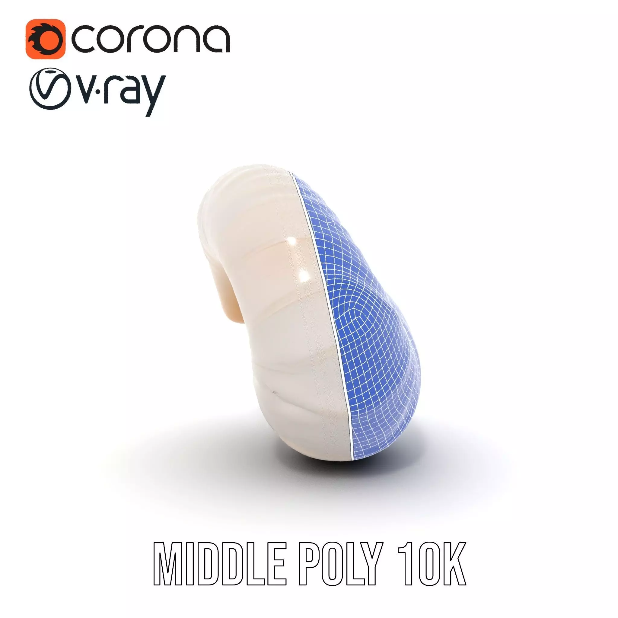 Elegant Spiral Seashell model pack Low-poly 3D model_22