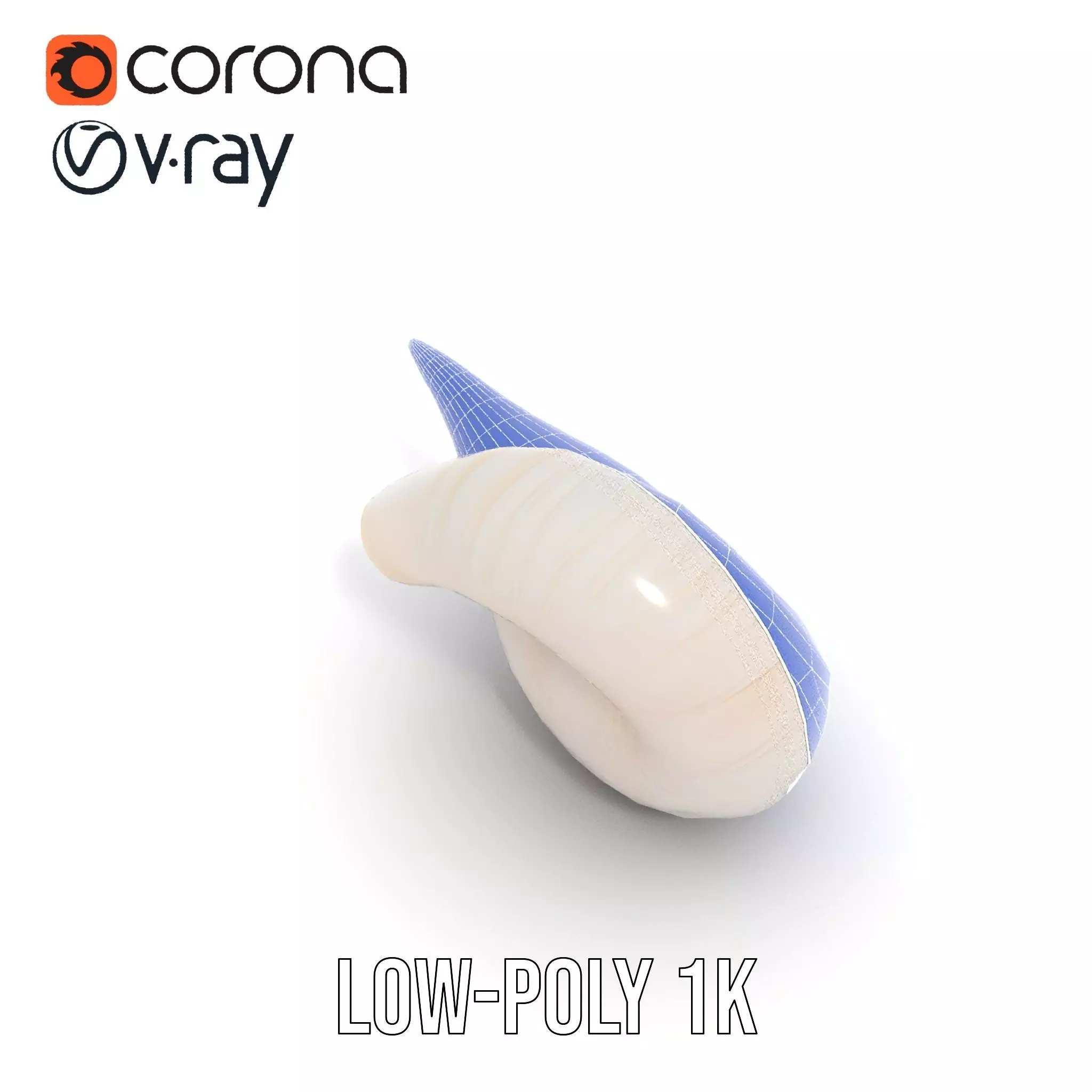 Elegant Spiral Seashell model pack Low-poly 3D model_29