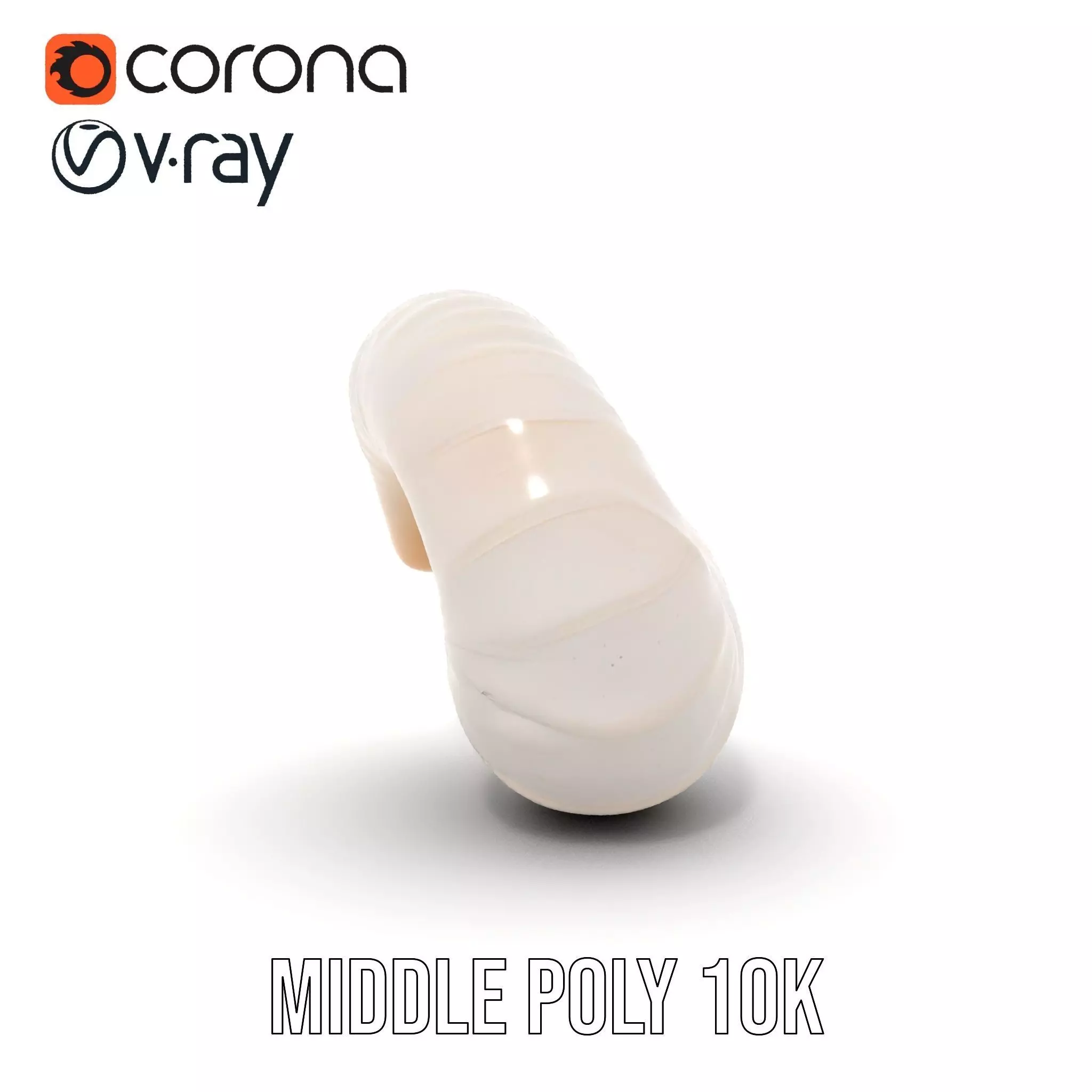 Elegant Spiral Seashell model pack Low-poly 3D model_25