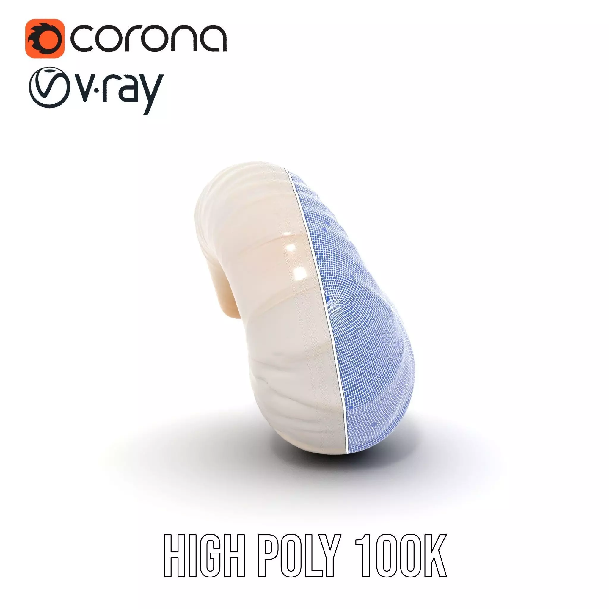 Elegant Spiral Seashell model pack Low-poly 3D model_35
