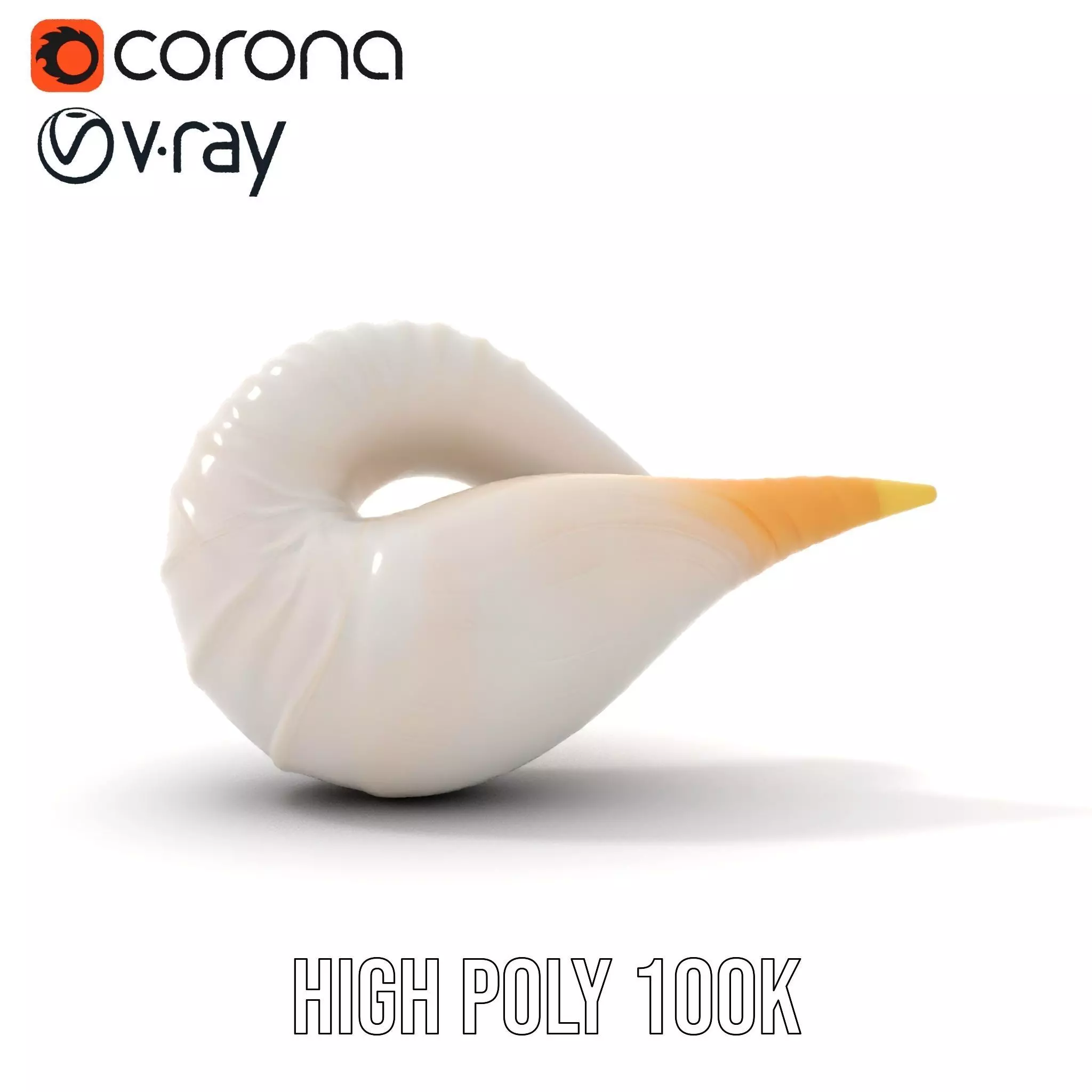 Elegant Spiral Seashell model pack Low-poly 3D model_24