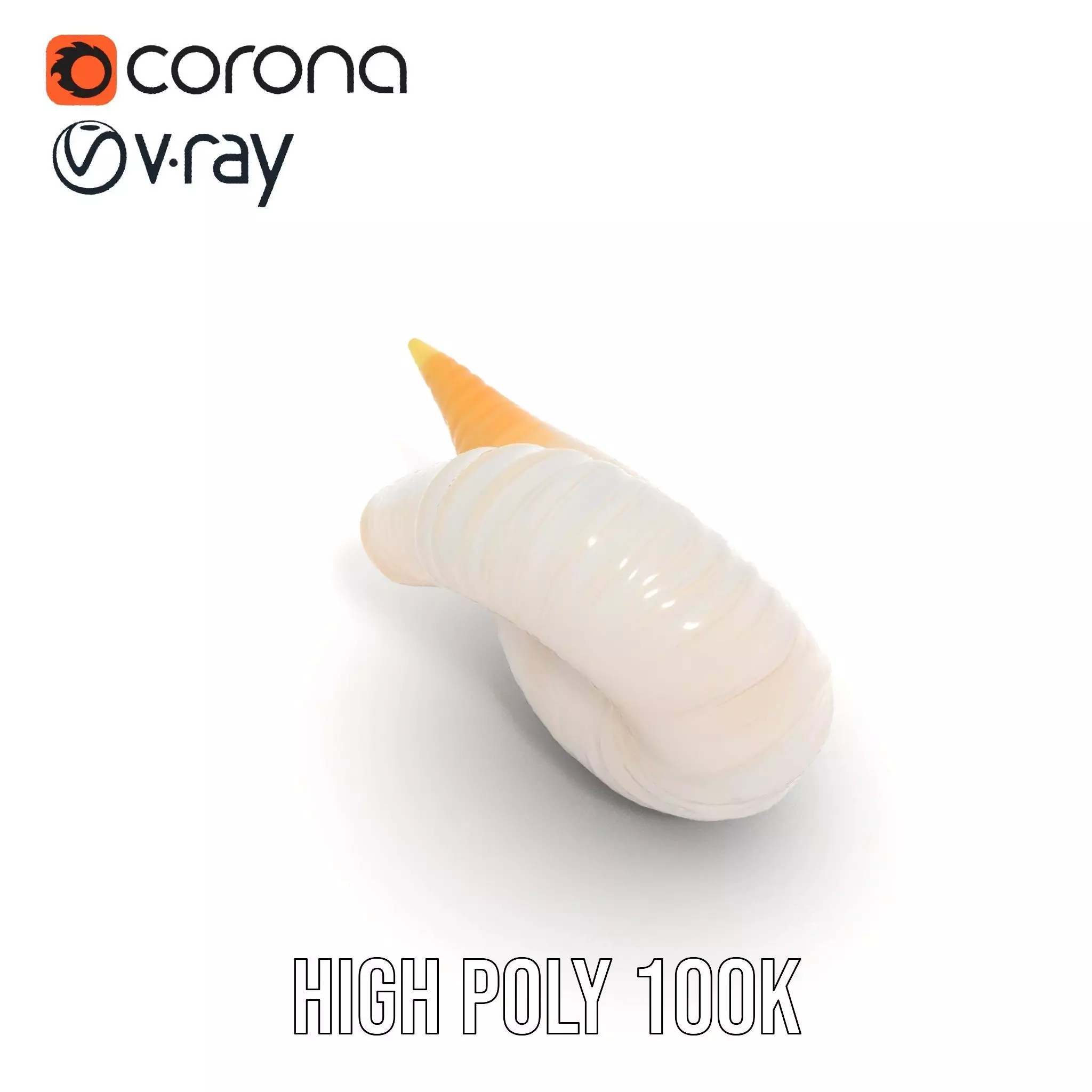 Elegant Spiral Seashell model pack Low-poly 3D model_34