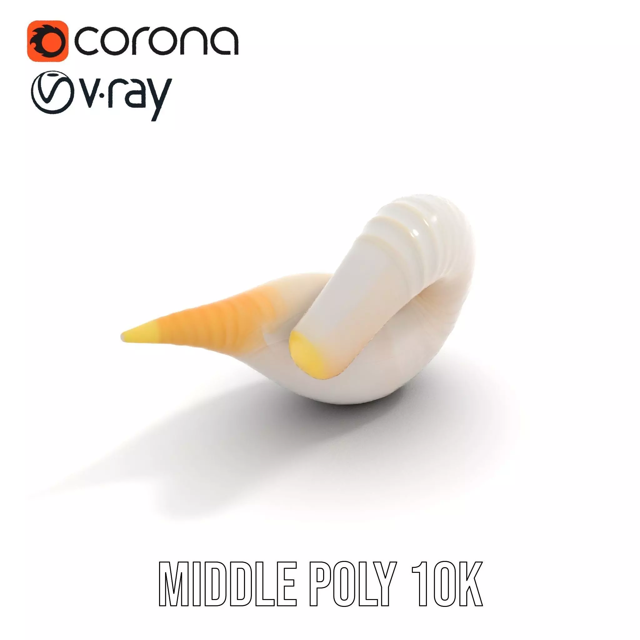 Elegant Spiral Seashell model pack Low-poly 3D model_17