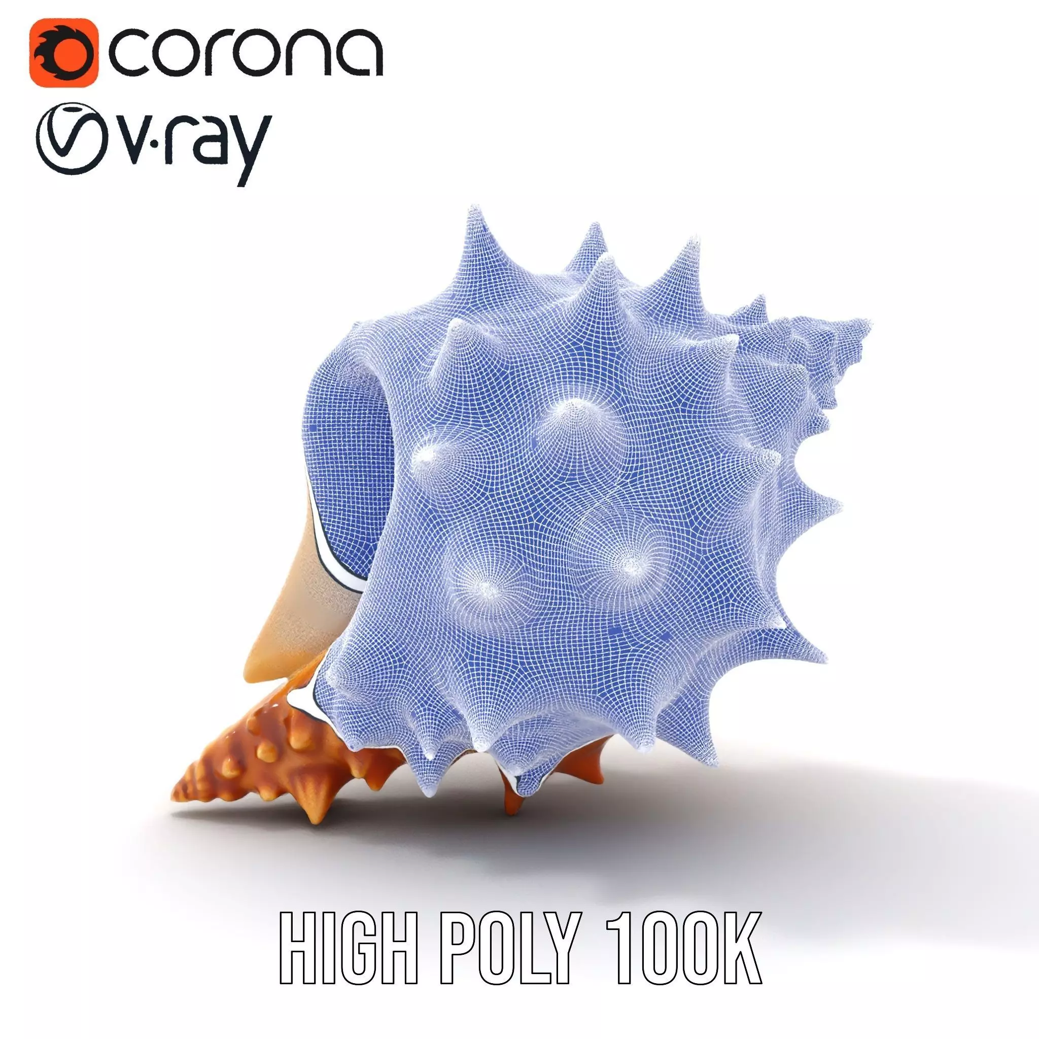 Spiny Conch Shell model pack Low-poly 3D model_34