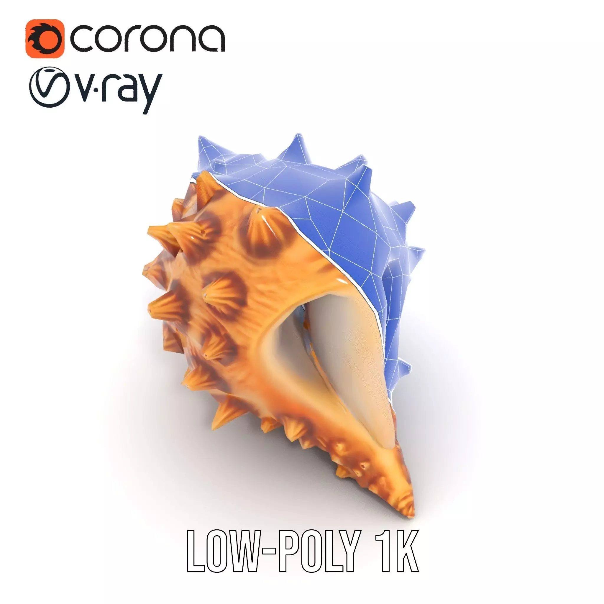 Spiny Conch Shell model pack Low-poly 3D model_31