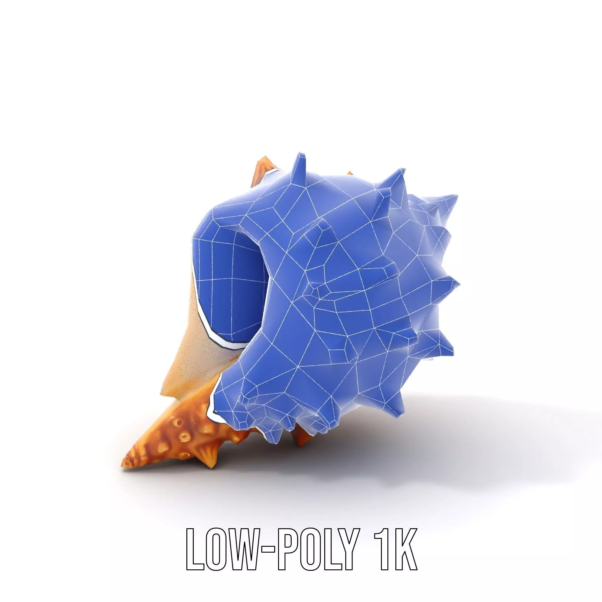 Spiny Conch Shell model pack Low-poly 3D model_23