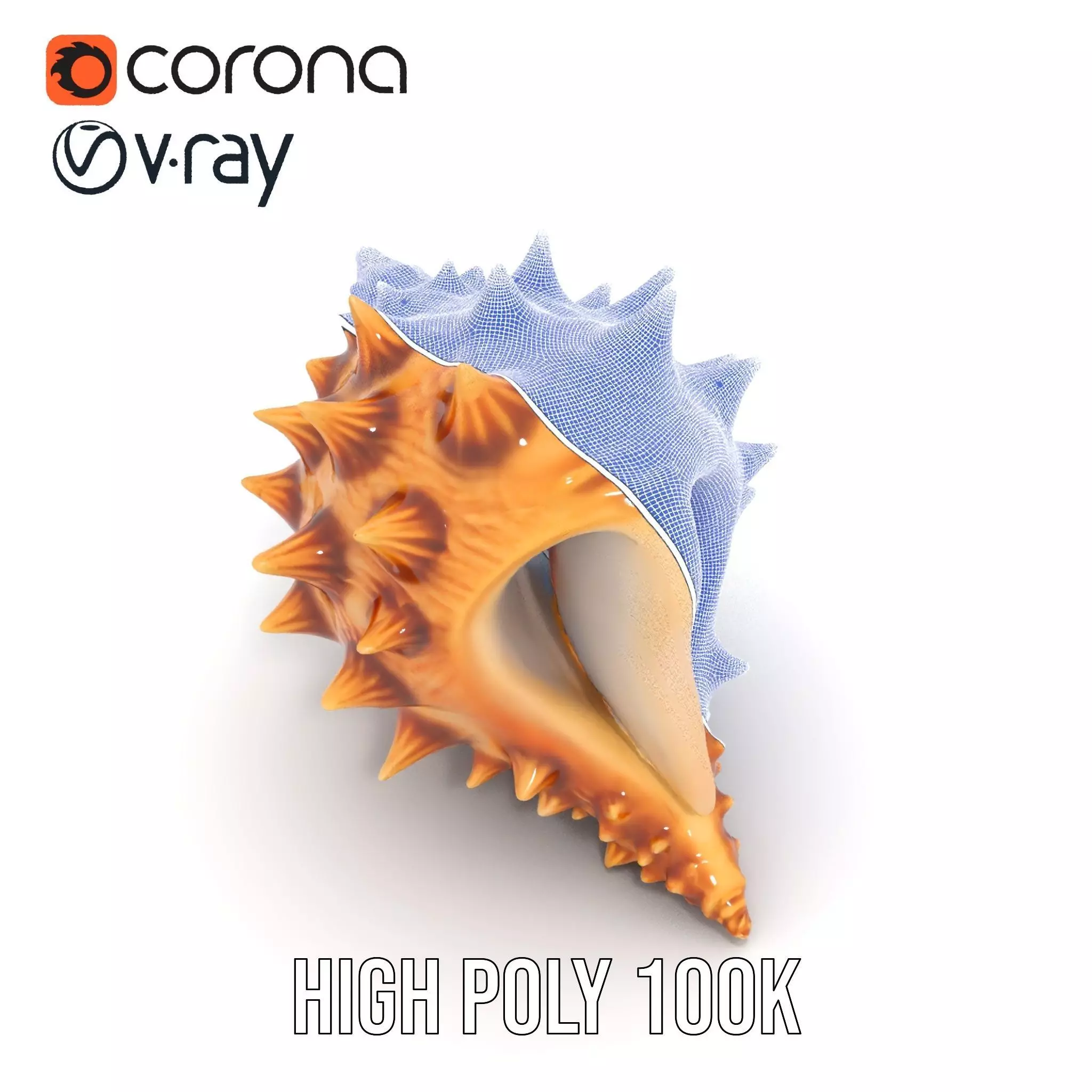 Spiny Conch Shell model pack Low-poly 3D model_33