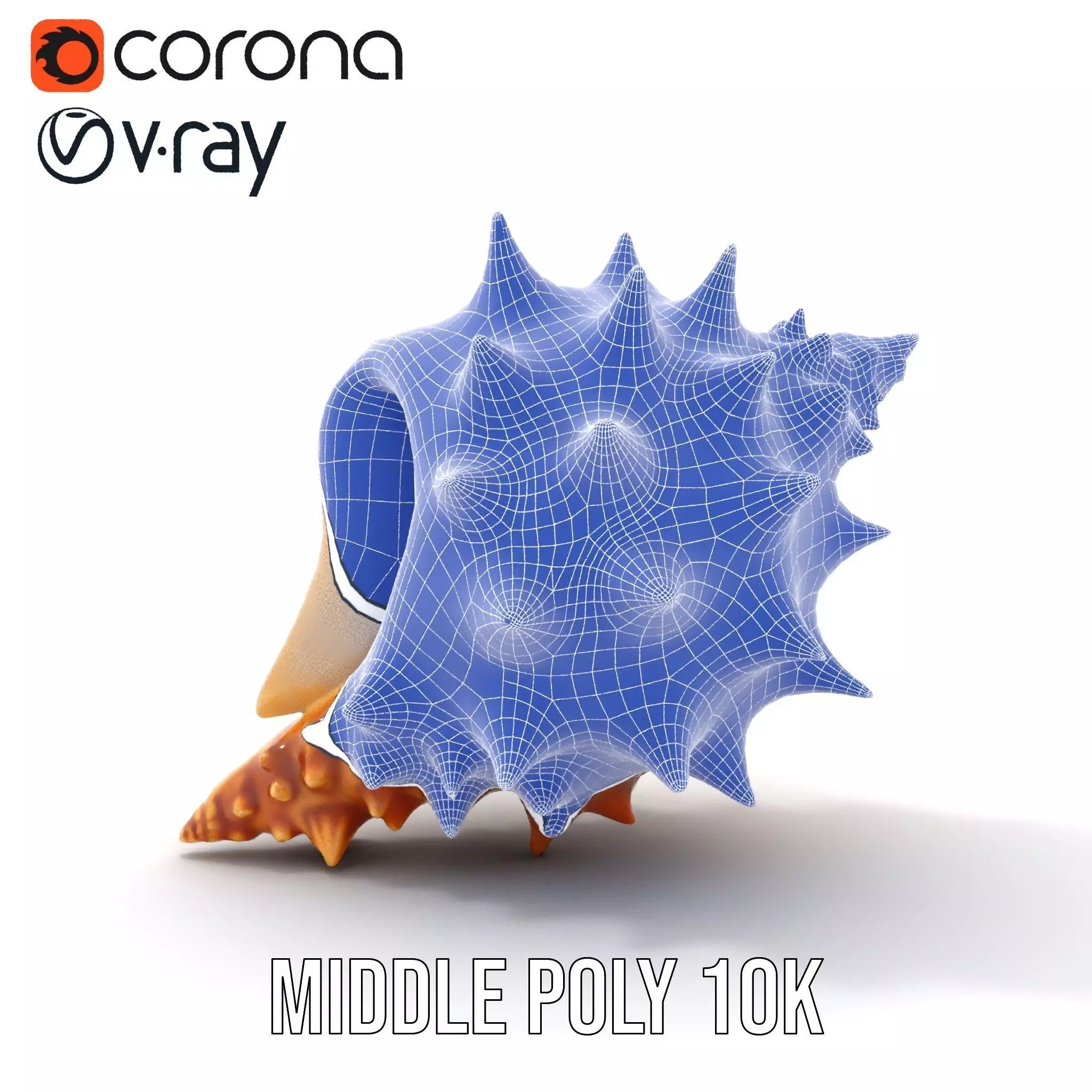 Spiny Conch Shell model pack Low-poly 3D model_27