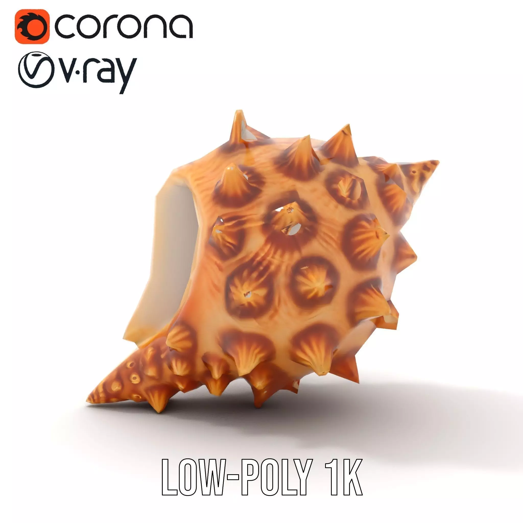 Spiny Conch Shell model pack Low-poly 3D model_18