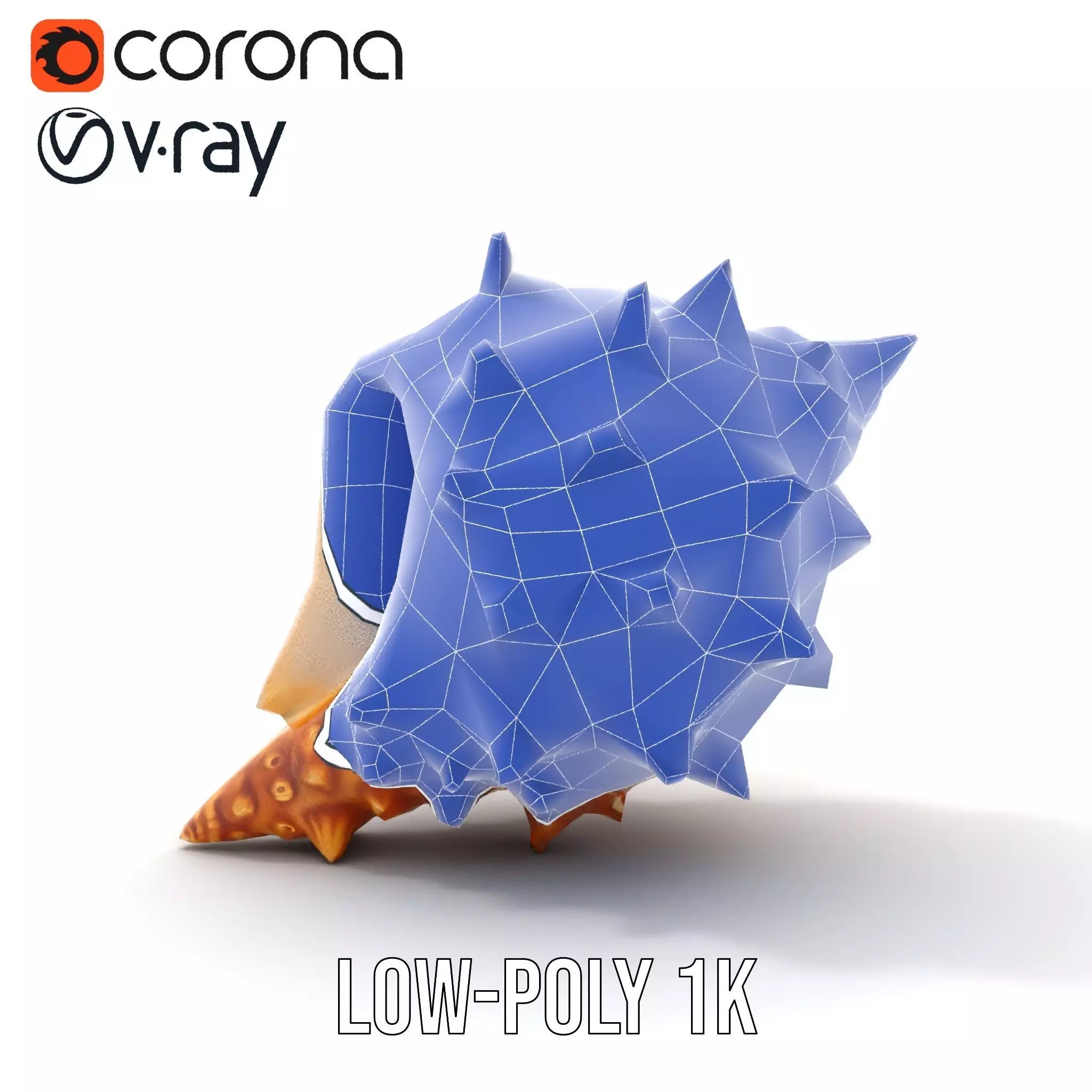 Spiny Conch Shell model pack Low-poly 3D model_20