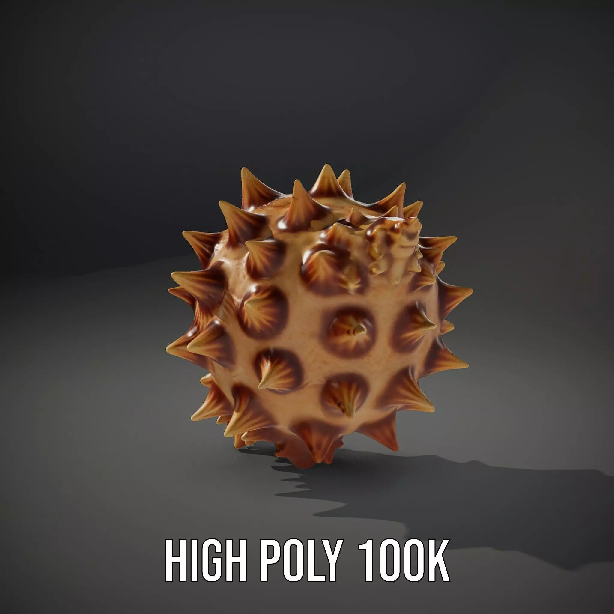 Spiny Conch Shell model pack Low-poly 3D model_9