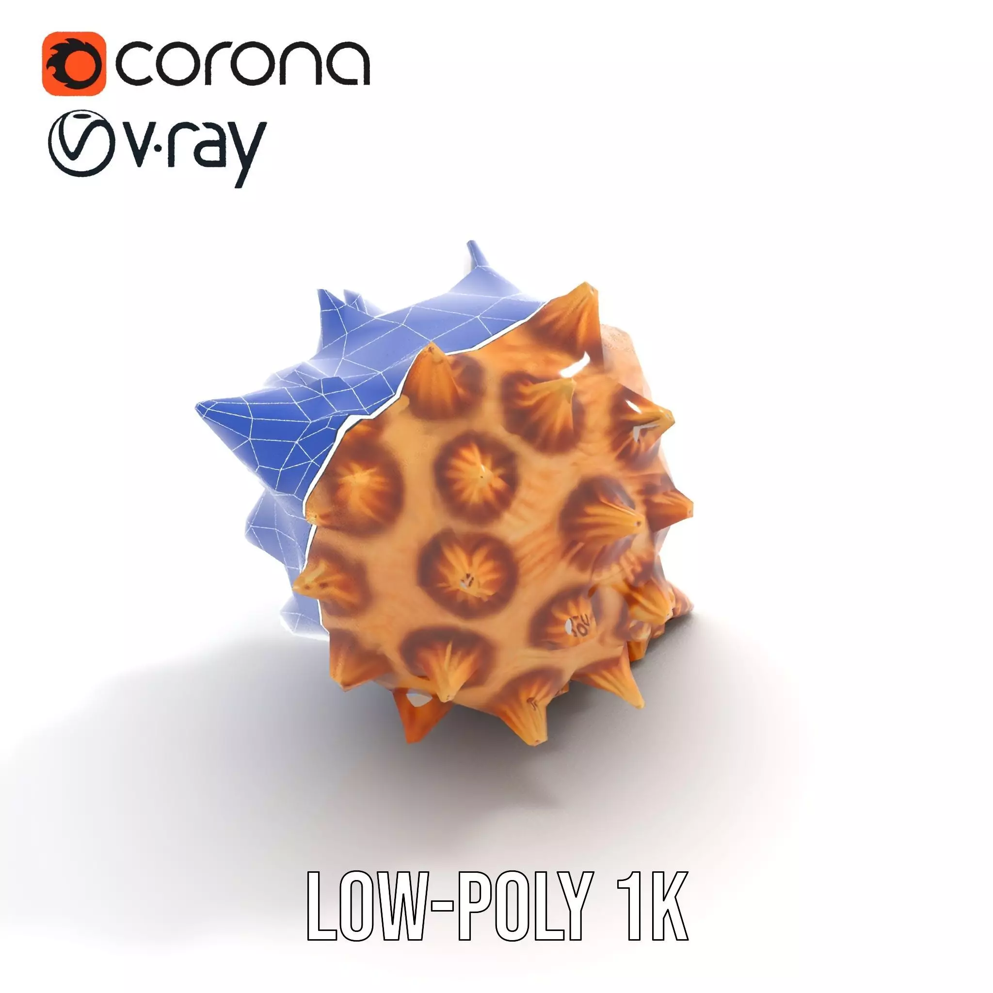 Spiny Conch Shell model pack Low-poly 3D model_26