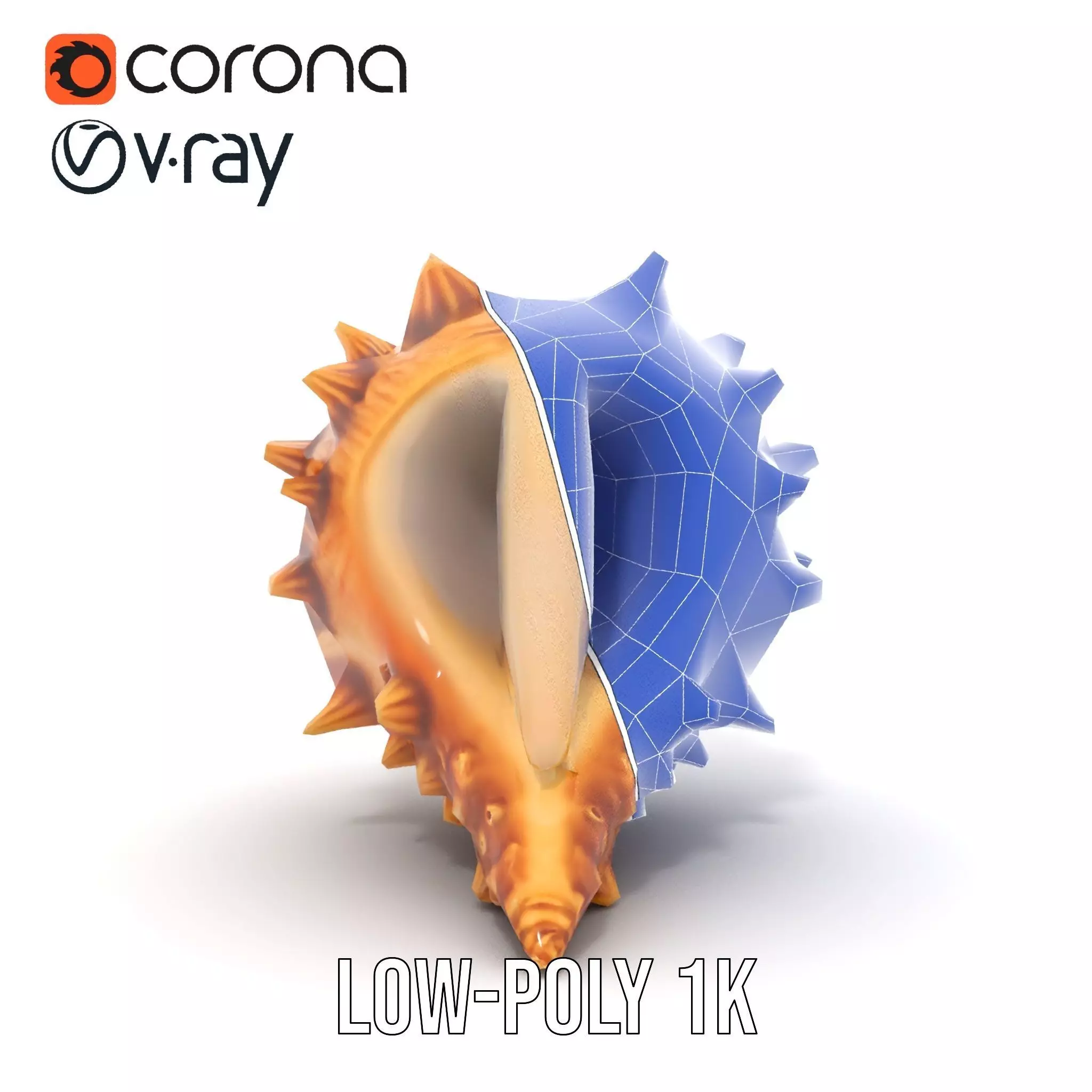 Spiny Conch Shell model pack Low-poly 3D model_28