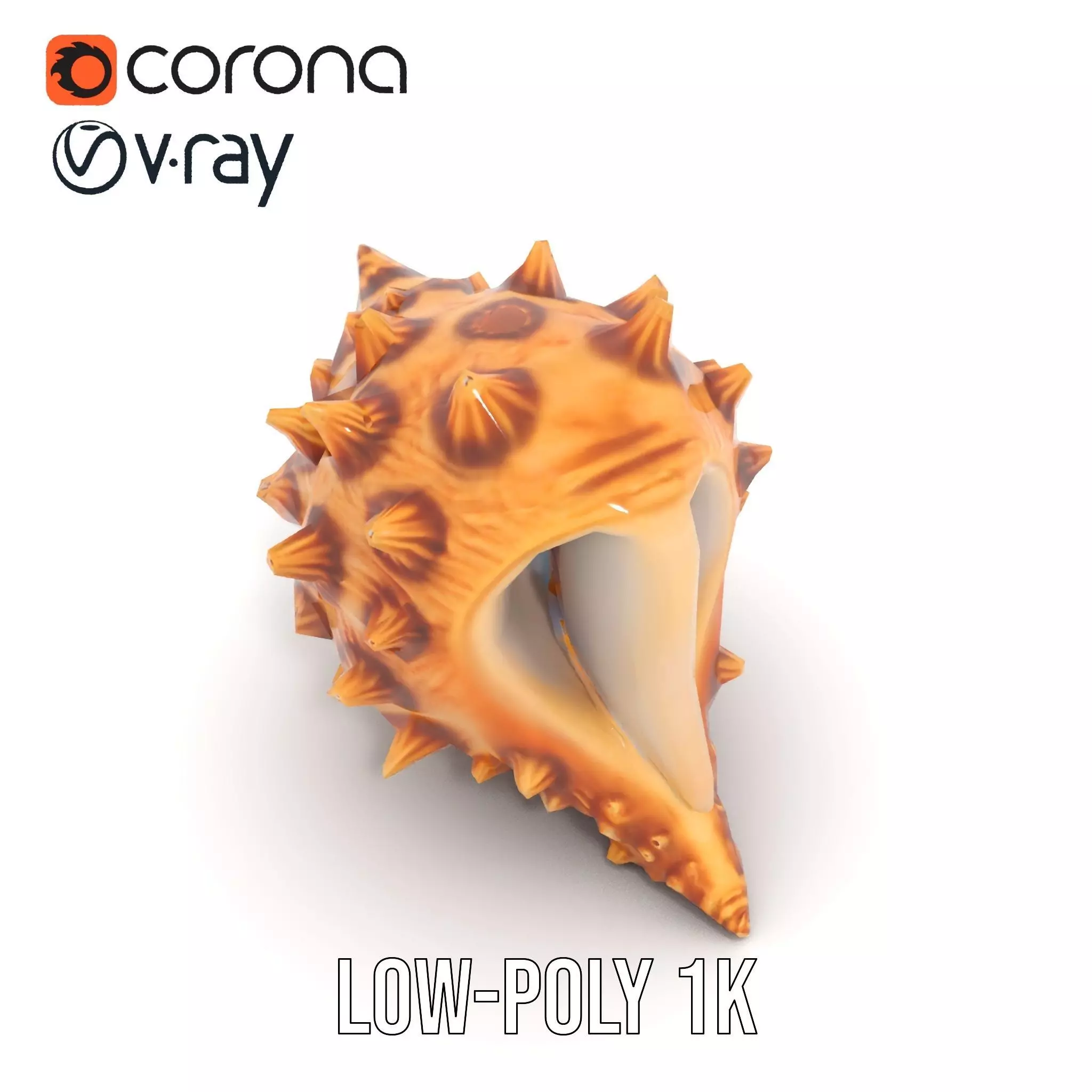 Spiny Conch Shell model pack Low-poly 3D model_10