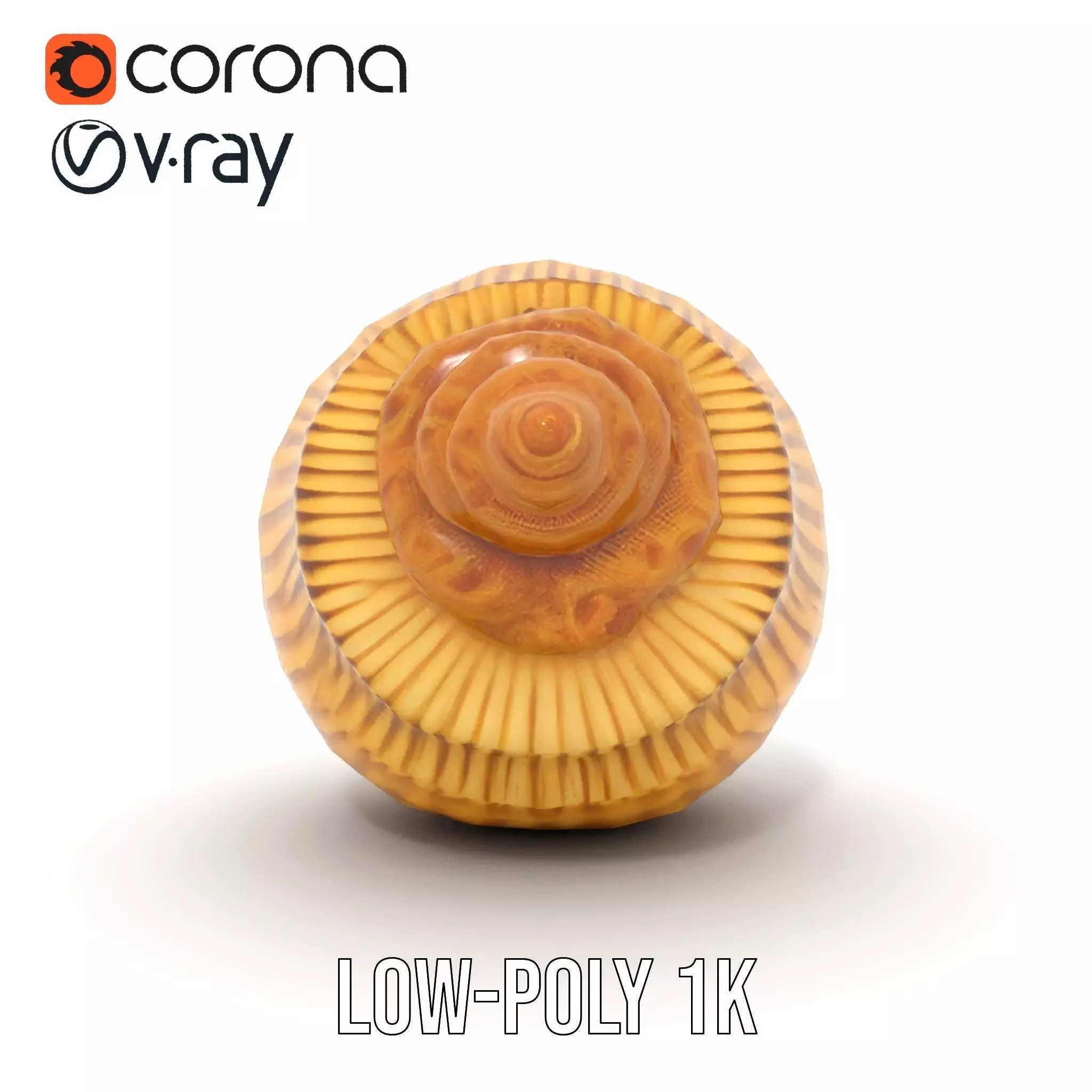 Elegant Seashell model pack Low-poly 3D model_20