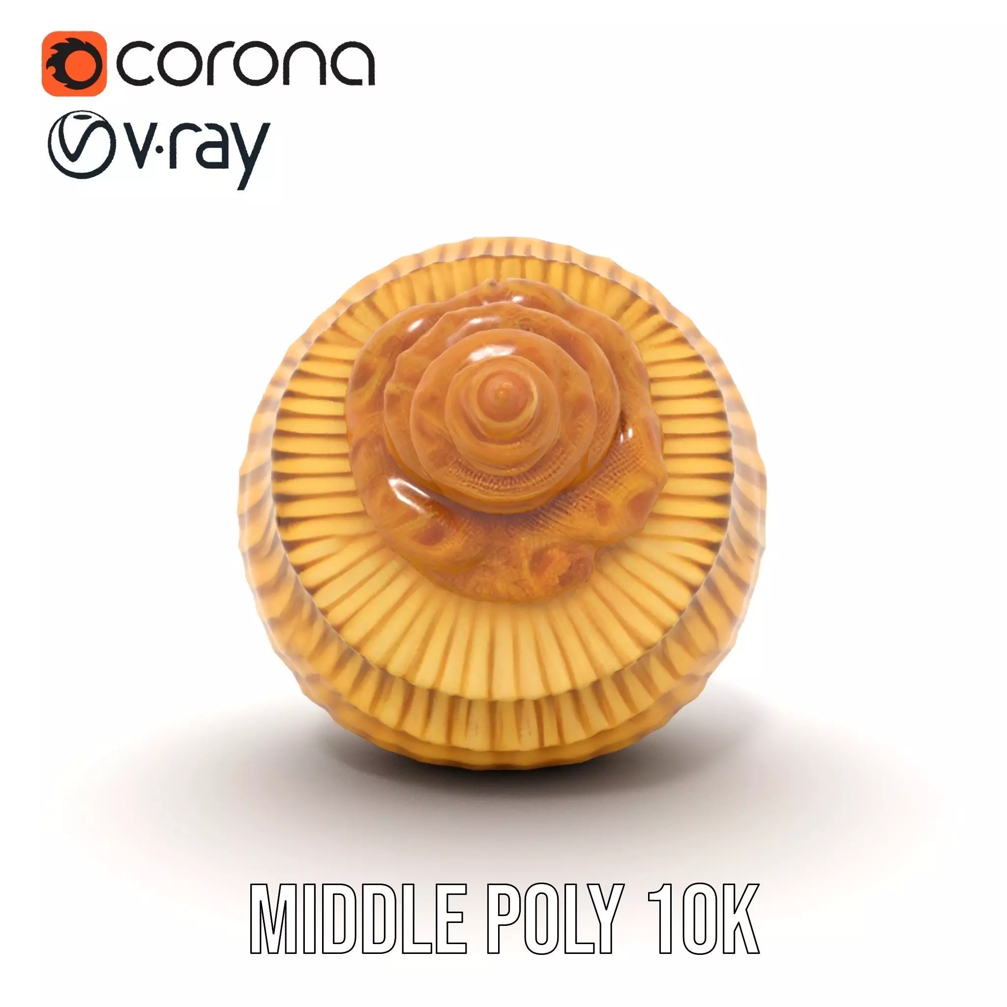 Elegant Seashell model pack Low-poly 3D model_16