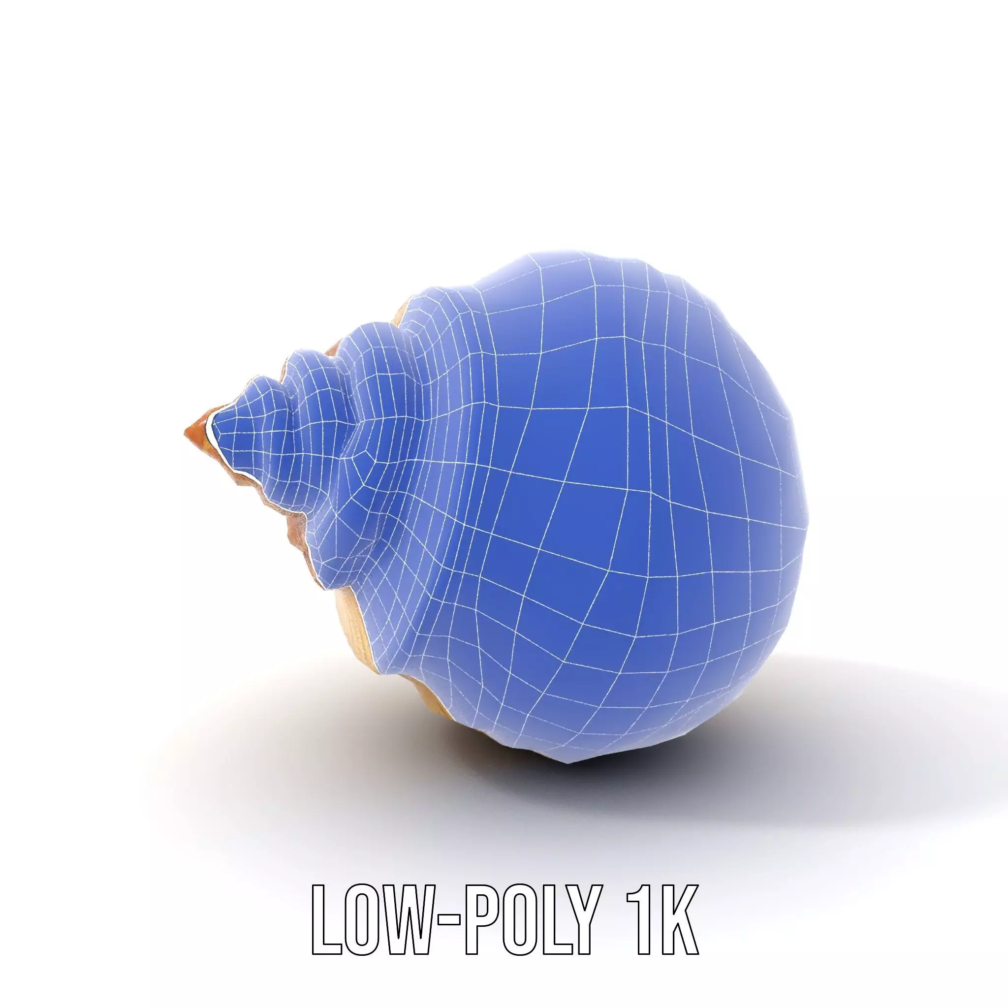 Elegant Seashell model pack Low-poly 3D model_26