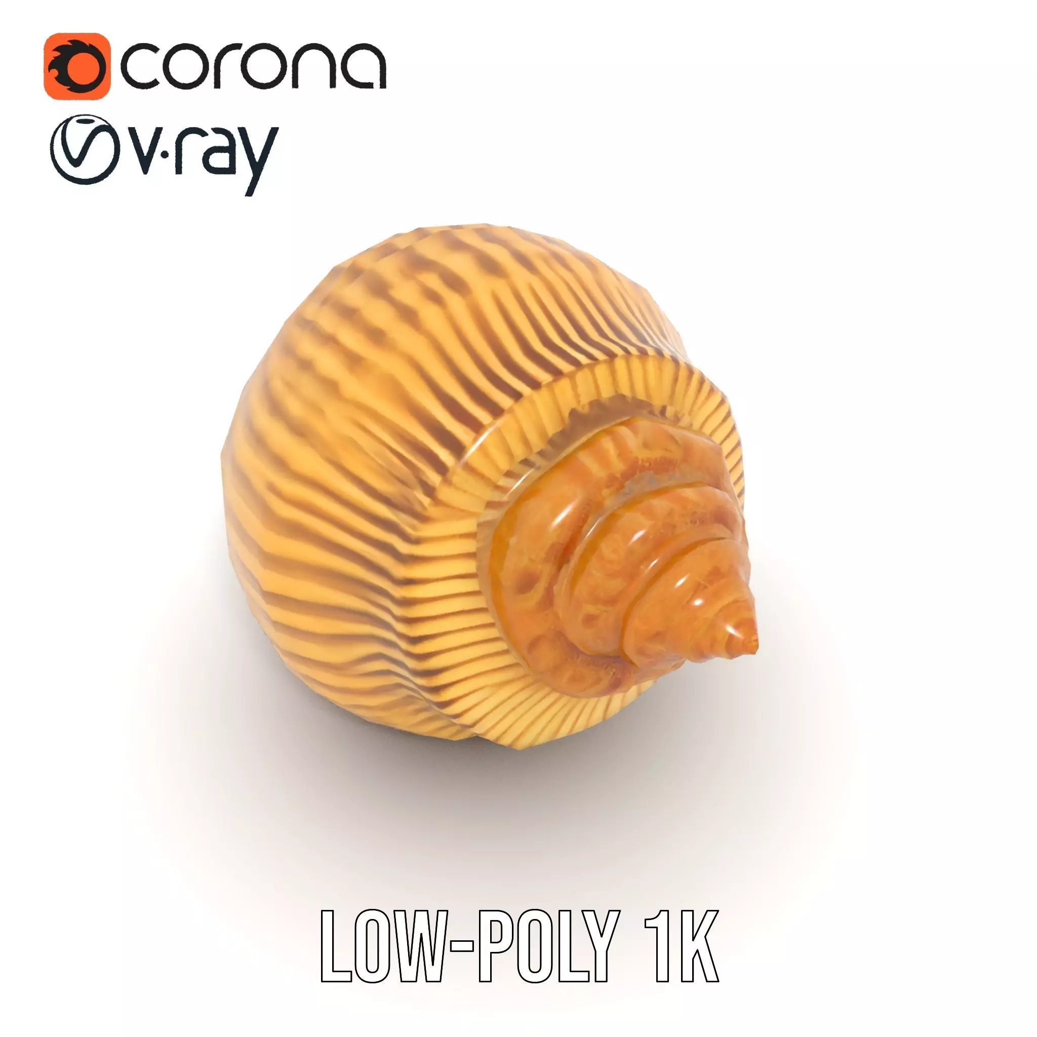 Elegant Seashell model pack Low-poly 3D model_15