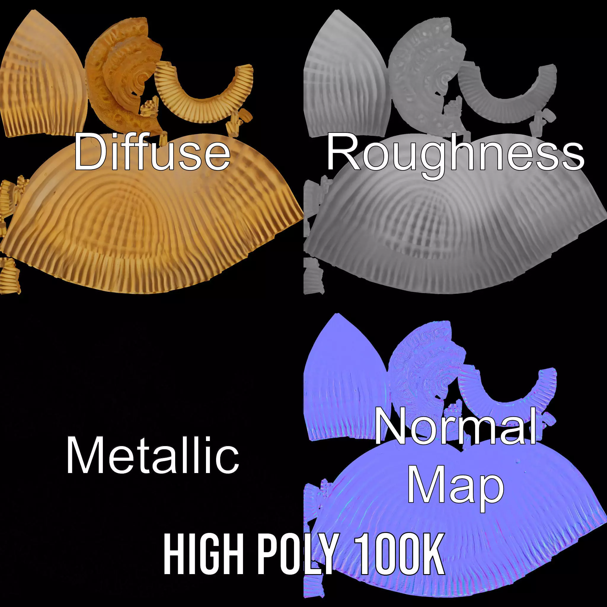 Elegant Seashell model pack Low-poly 3D model_4