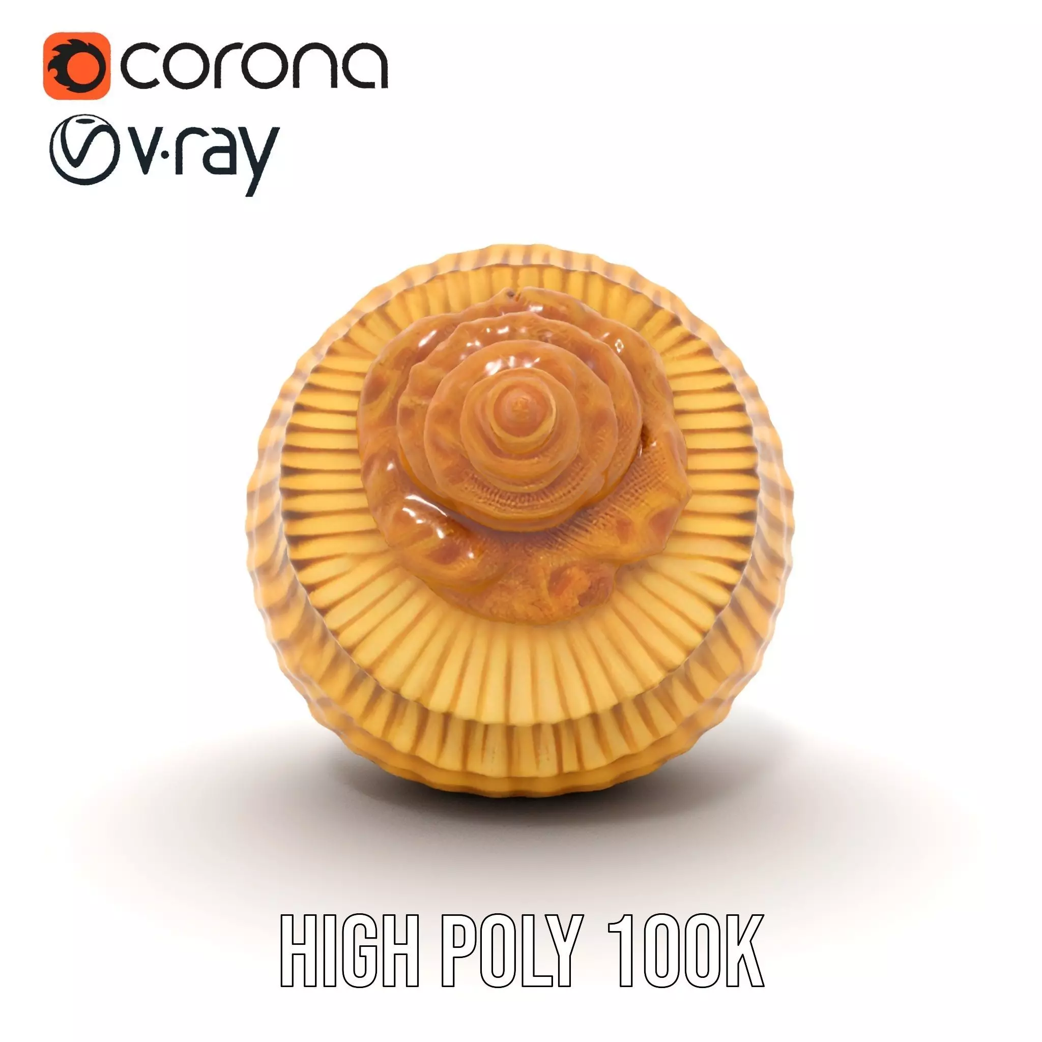 Elegant Seashell model pack Low-poly 3D model_27
