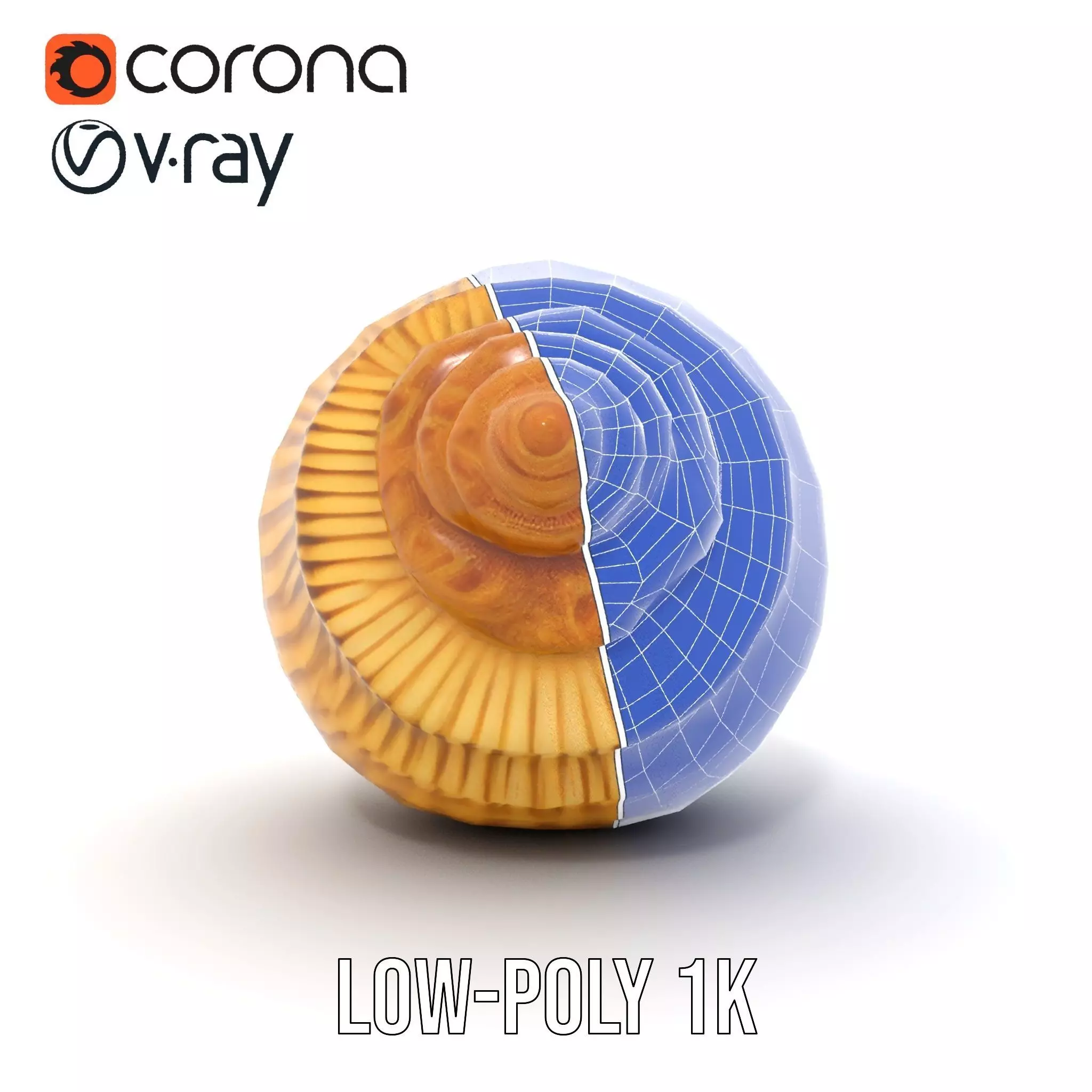 Elegant Seashell model pack Low-poly 3D model_17