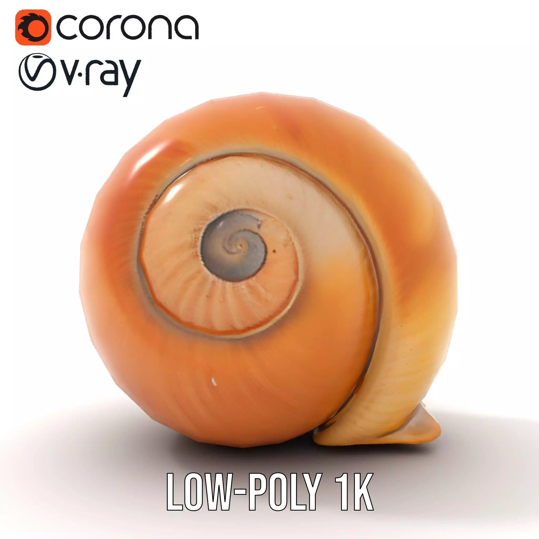 Amber Spiral Shell model pack Low-poly 3D model_15