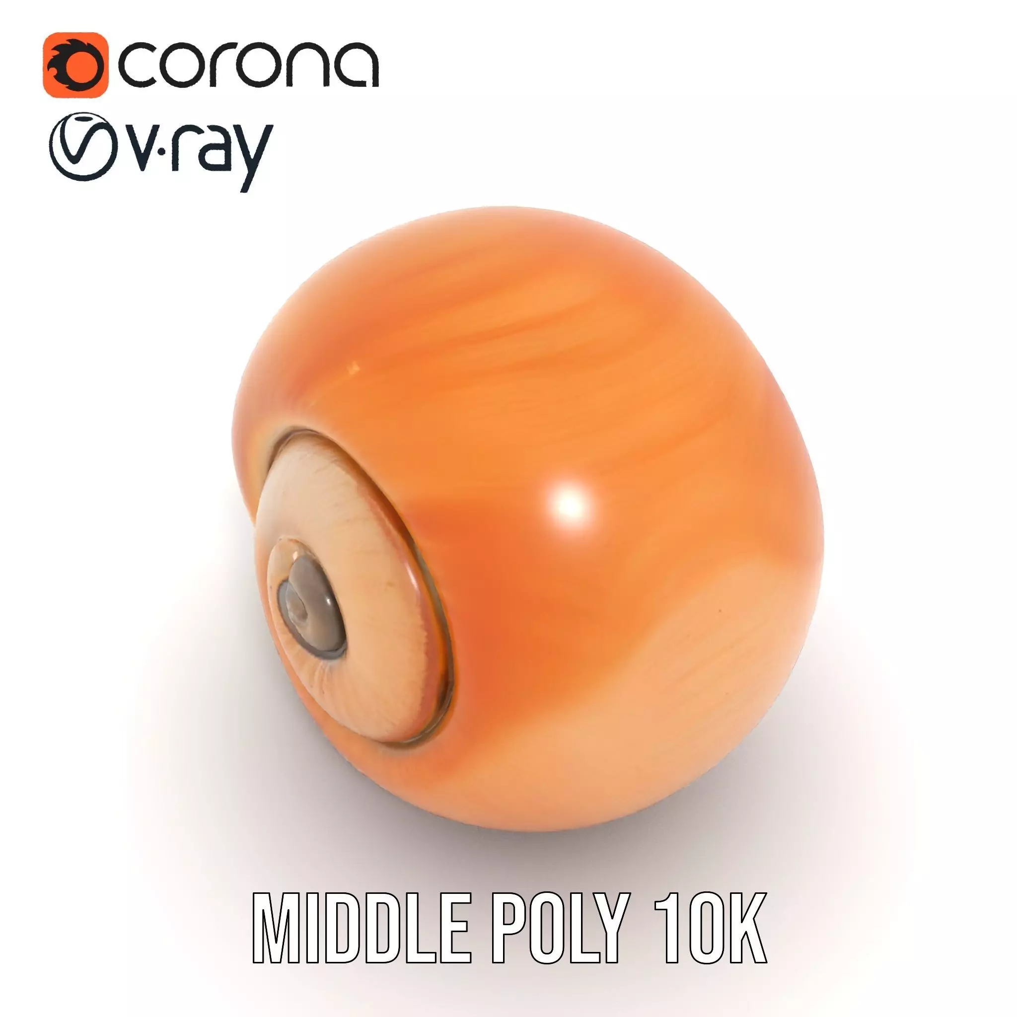 Amber Spiral Shell model pack Low-poly 3D model_16
