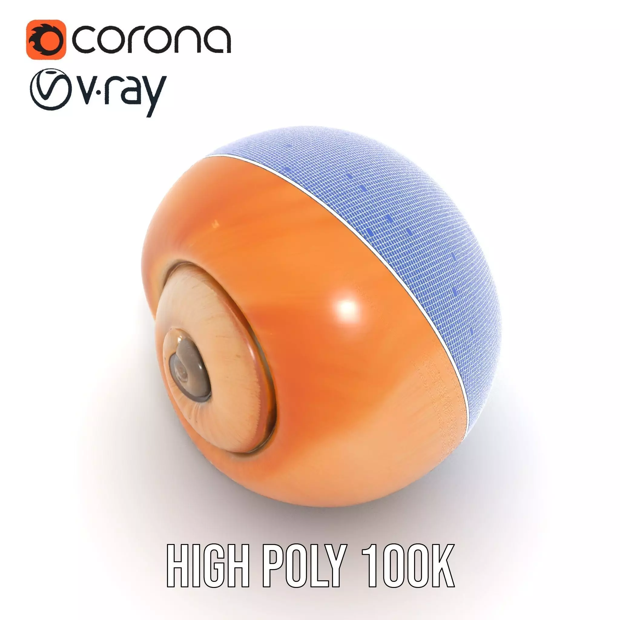 Amber Spiral Shell model pack Low-poly 3D model_34