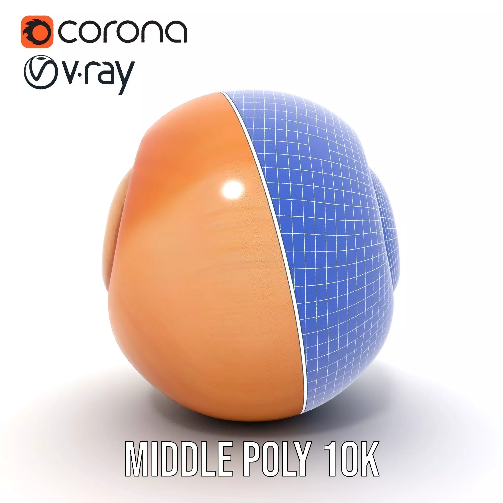 Amber Spiral Shell model pack Low-poly 3D model_25