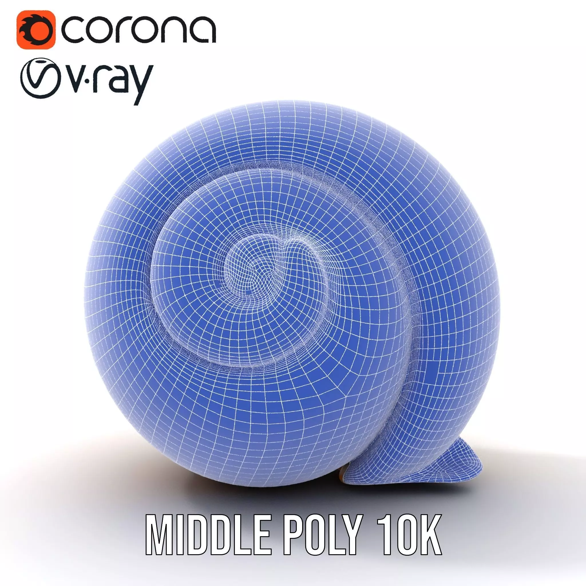 Amber Spiral Shell model pack Low-poly 3D model_22