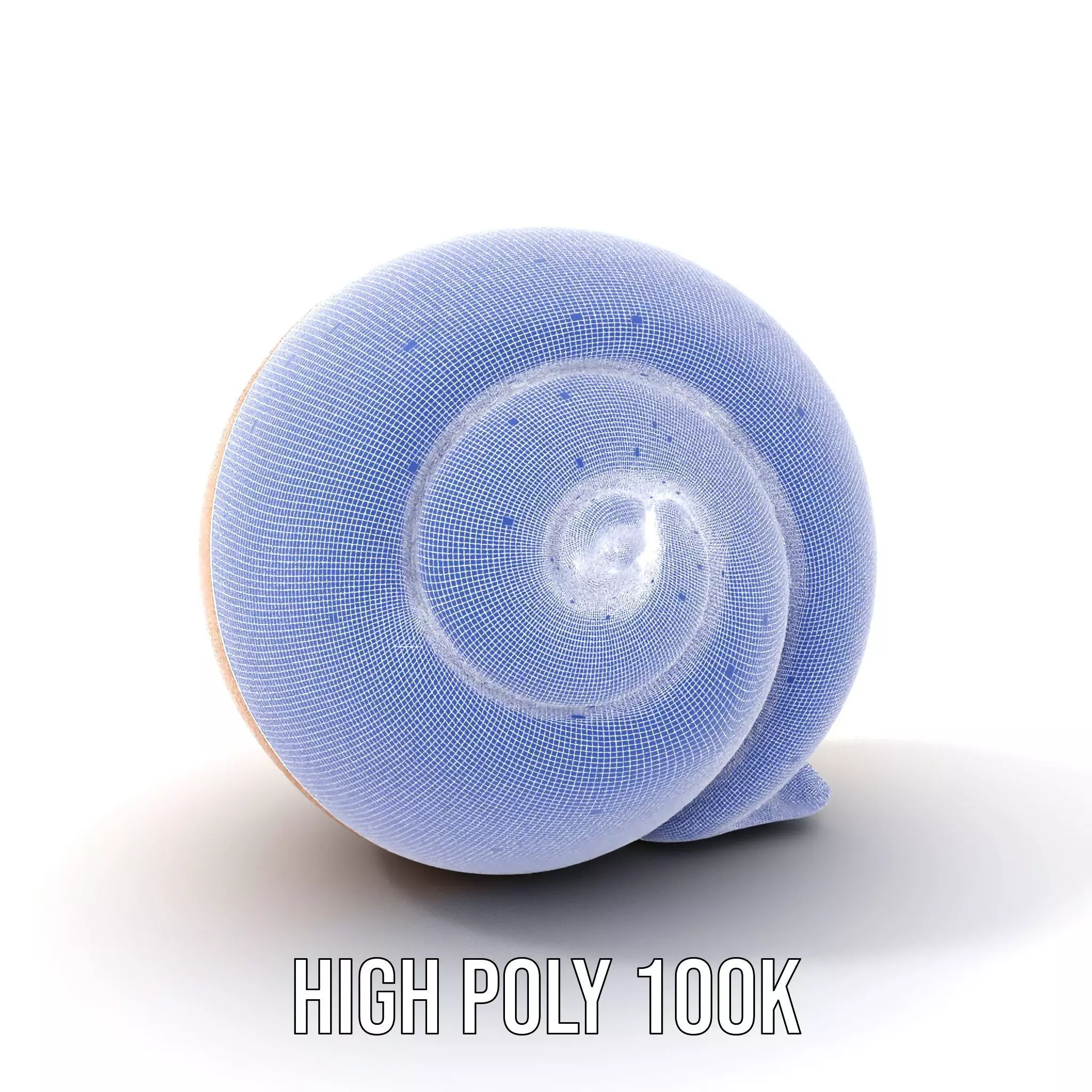 Amber Spiral Shell model pack Low-poly 3D model_5