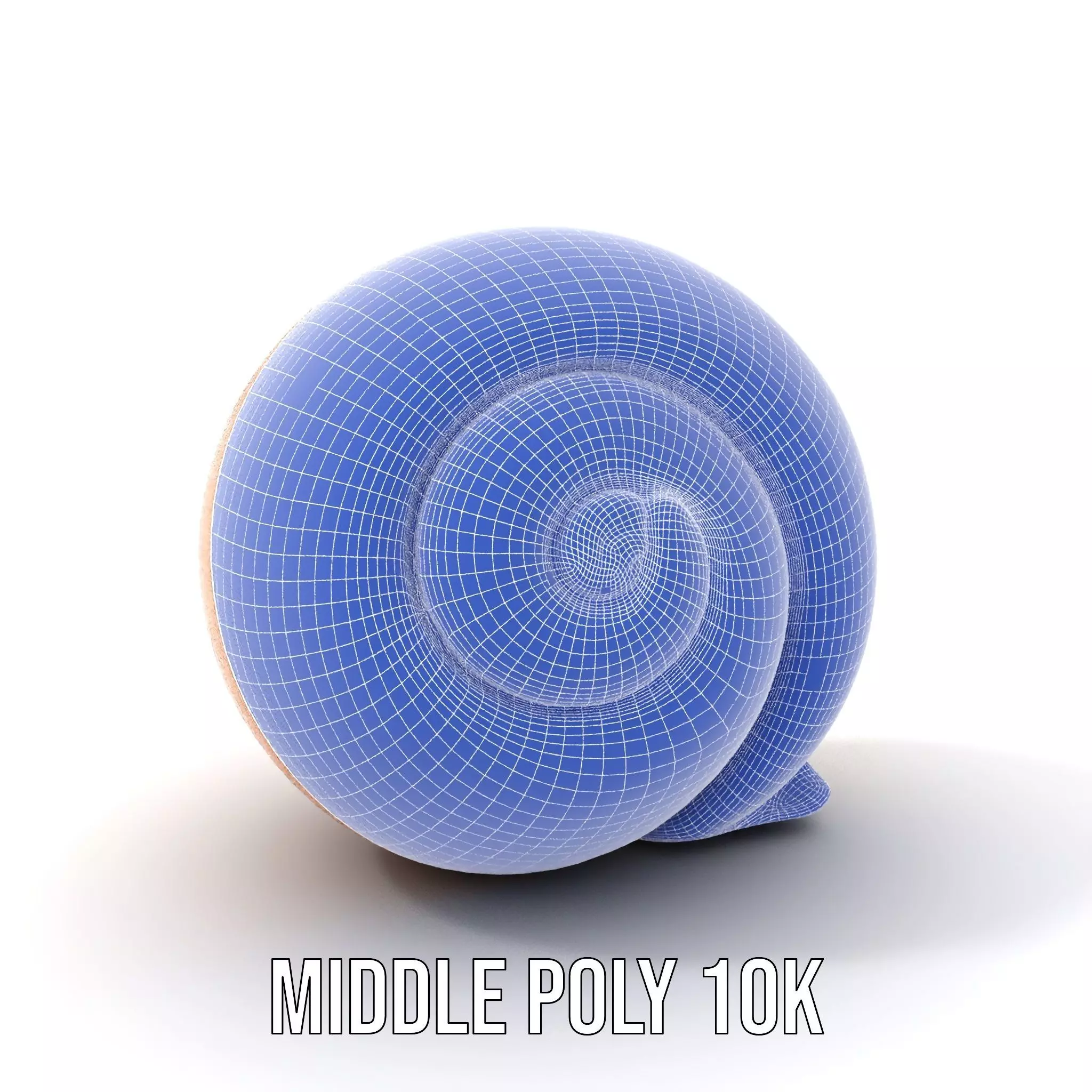 Amber Spiral Shell model pack Low-poly 3D model_28