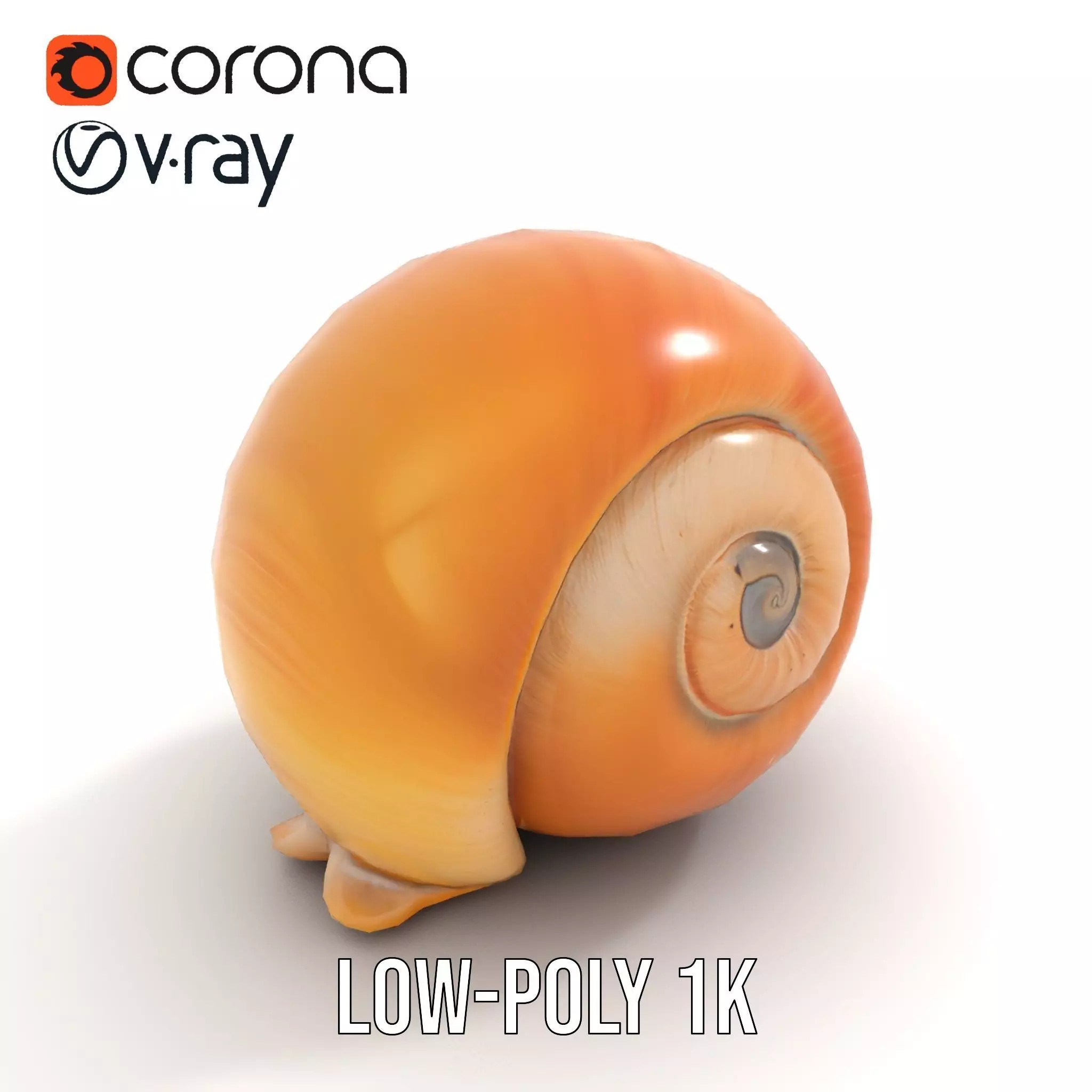 Amber Spiral Shell model pack Low-poly 3D model_26