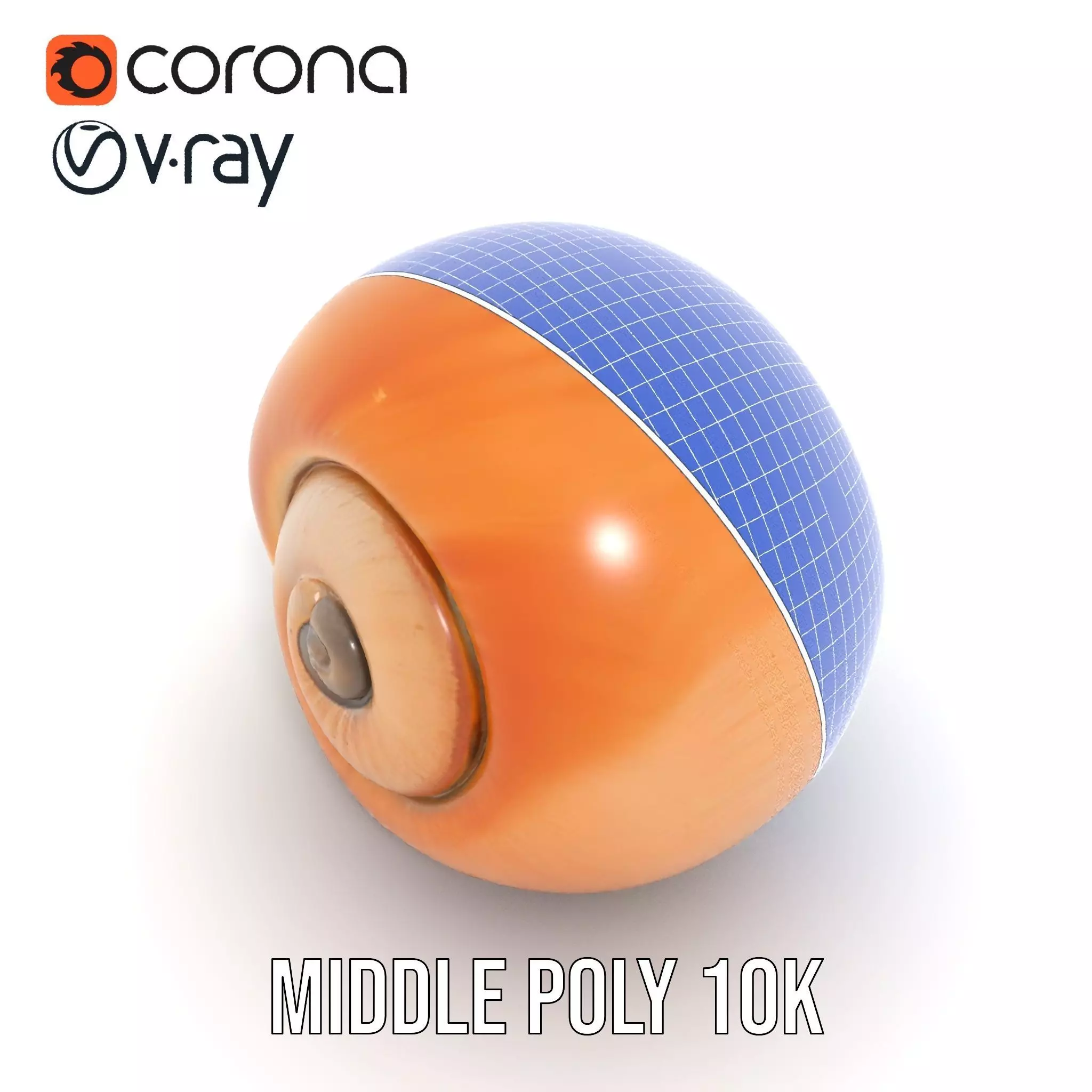 Amber Spiral Shell model pack Low-poly 3D model_6