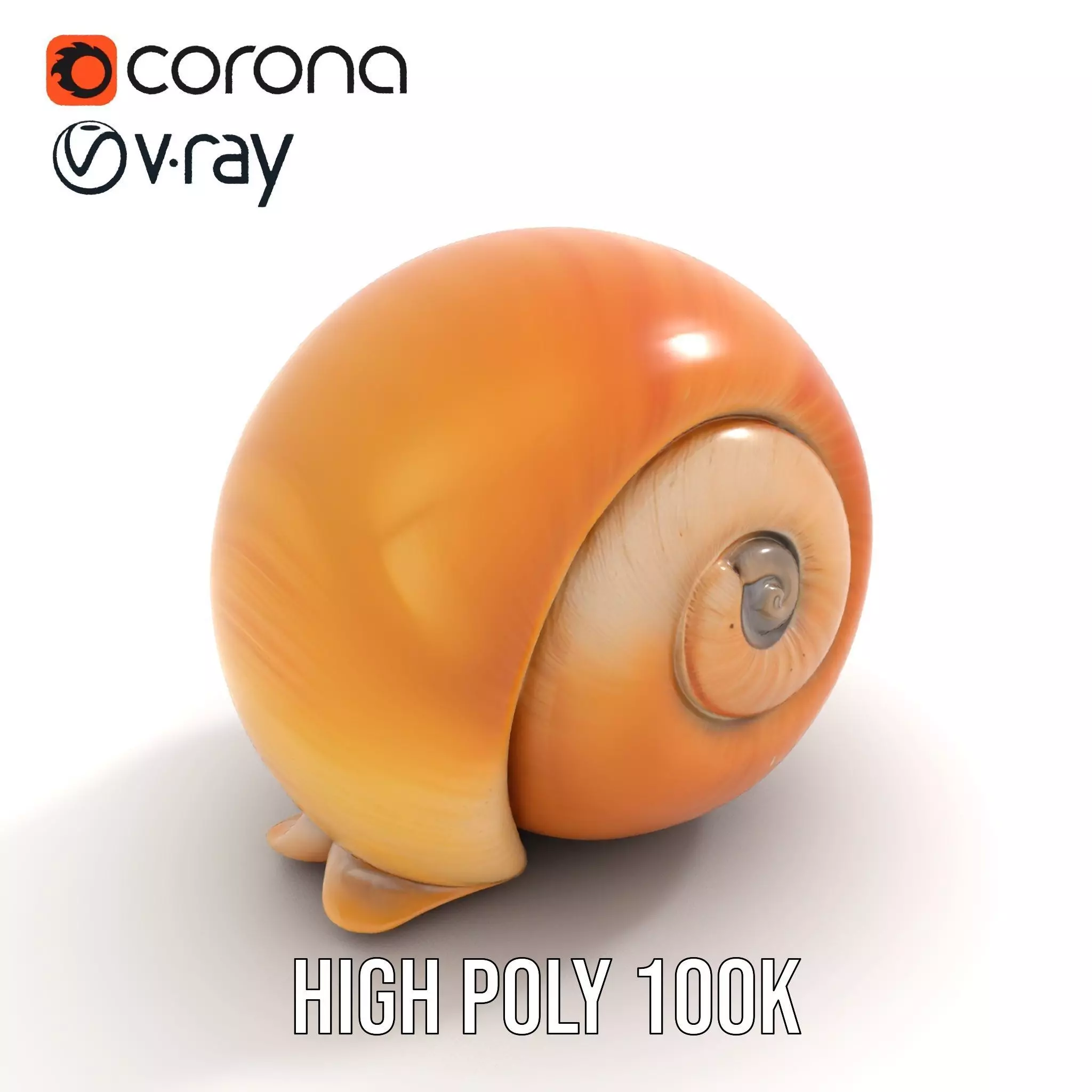 Amber Spiral Shell model pack Low-poly 3D model_21