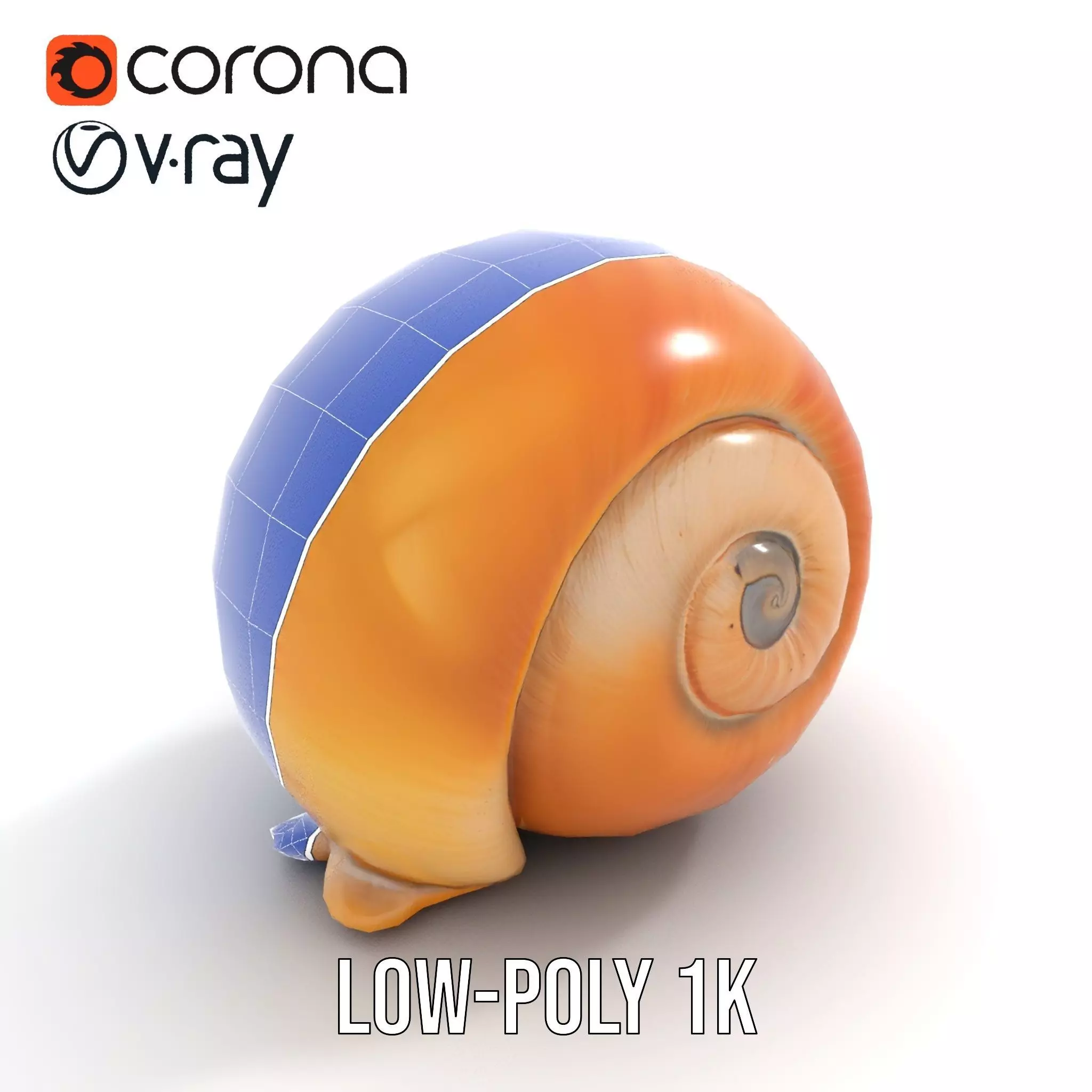 Amber Spiral Shell model pack Low-poly 3D model_17