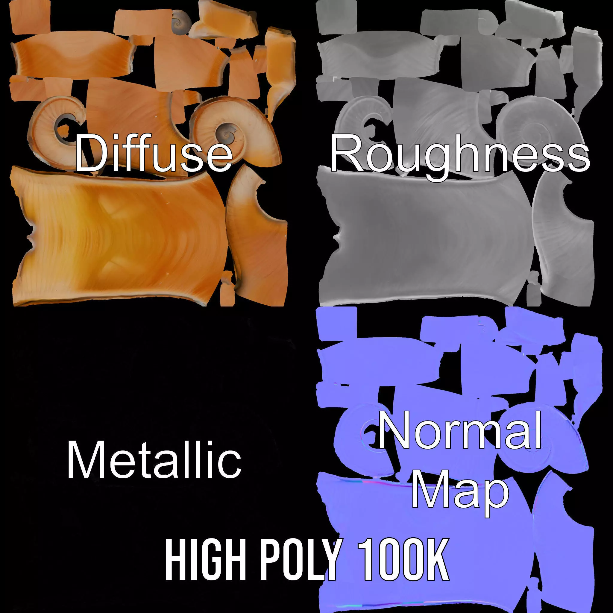 Amber Spiral Shell model pack Low-poly 3D model_4