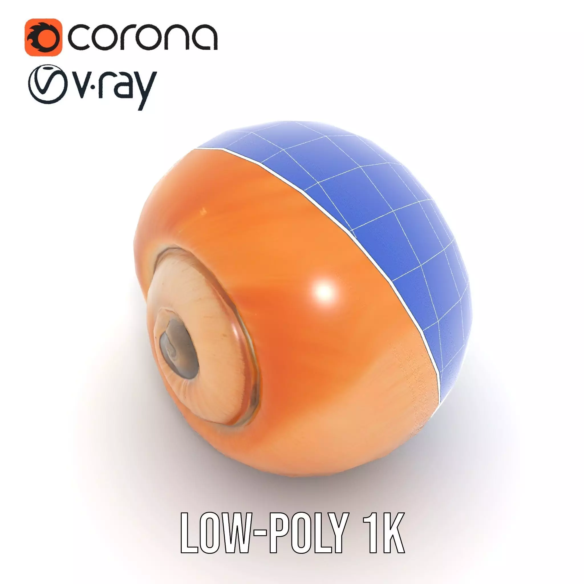Amber Spiral Shell model pack Low-poly 3D model_29