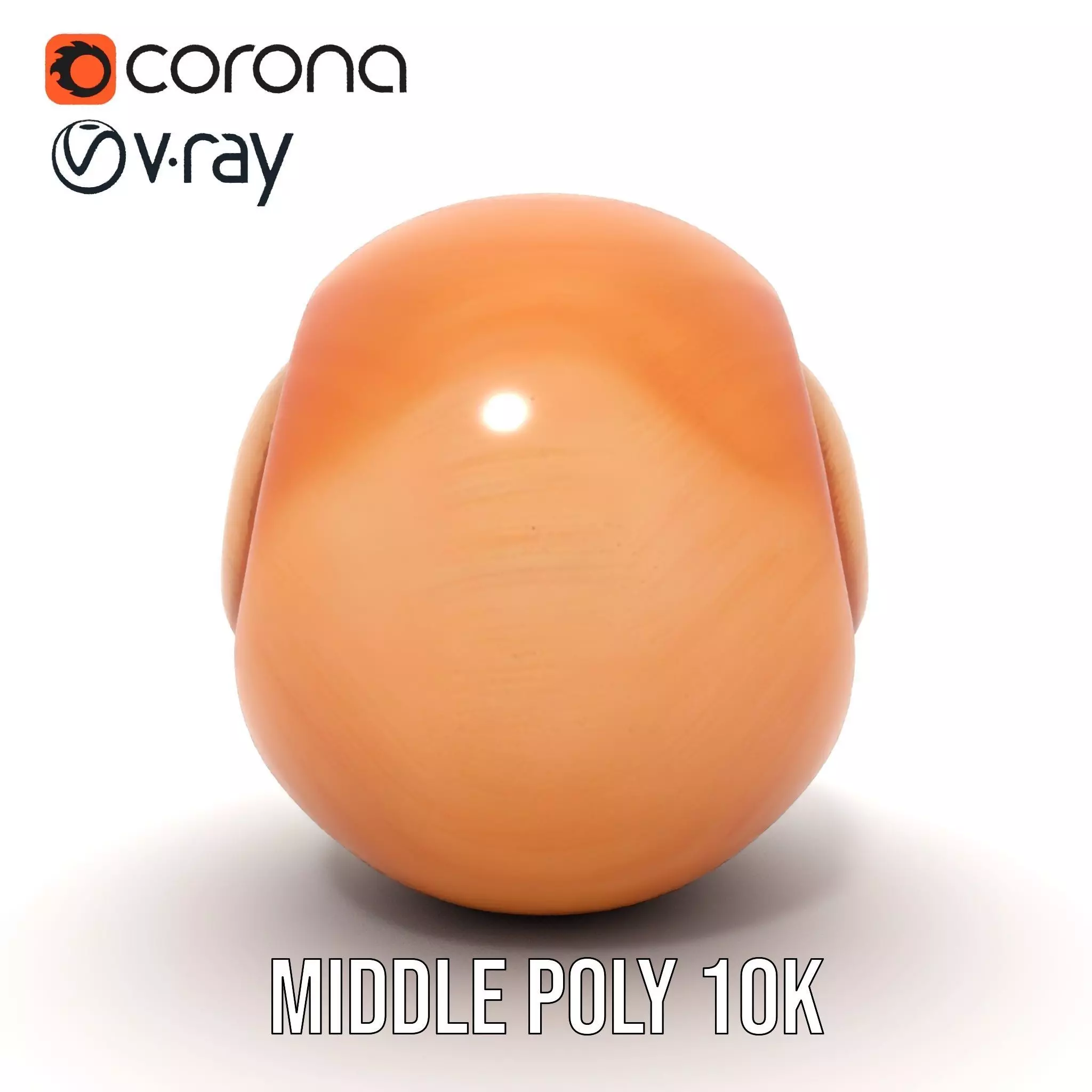 Amber Spiral Shell model pack Low-poly 3D model_31