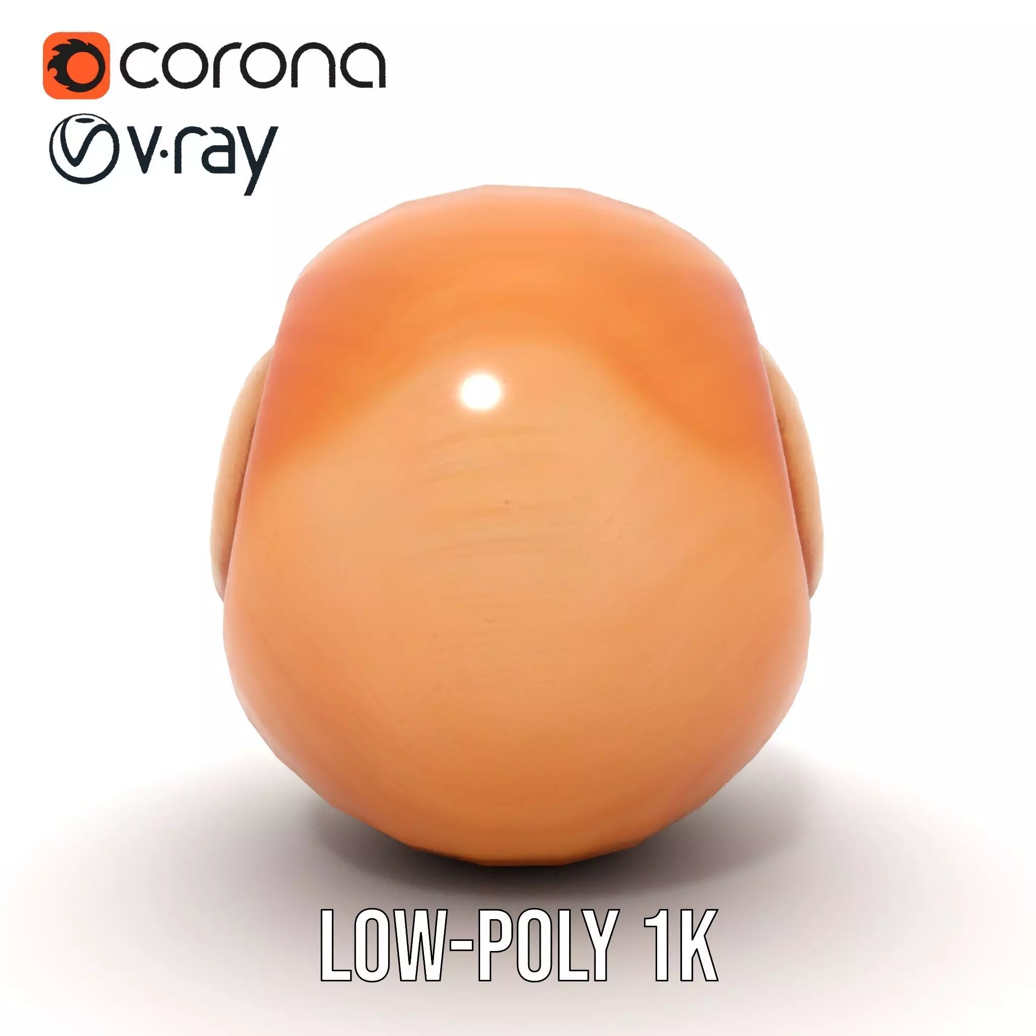Amber Spiral Shell model pack Low-poly 3D model_12
