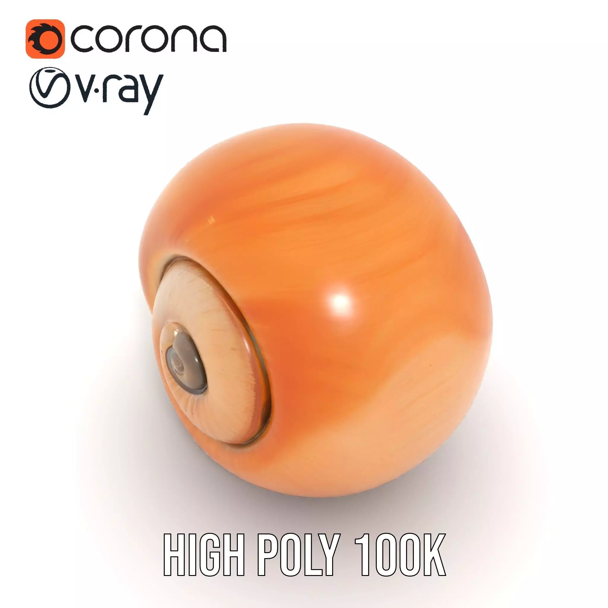 Amber Spiral Shell model pack Low-poly 3D model_18
