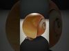 Amber Spiral Shell model pack Low-poly 3D model_2