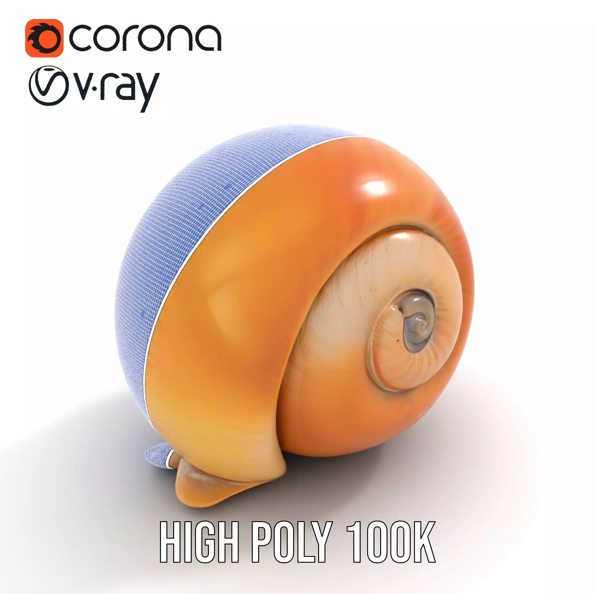 Amber Spiral Shell model pack Low-poly 3D model_27